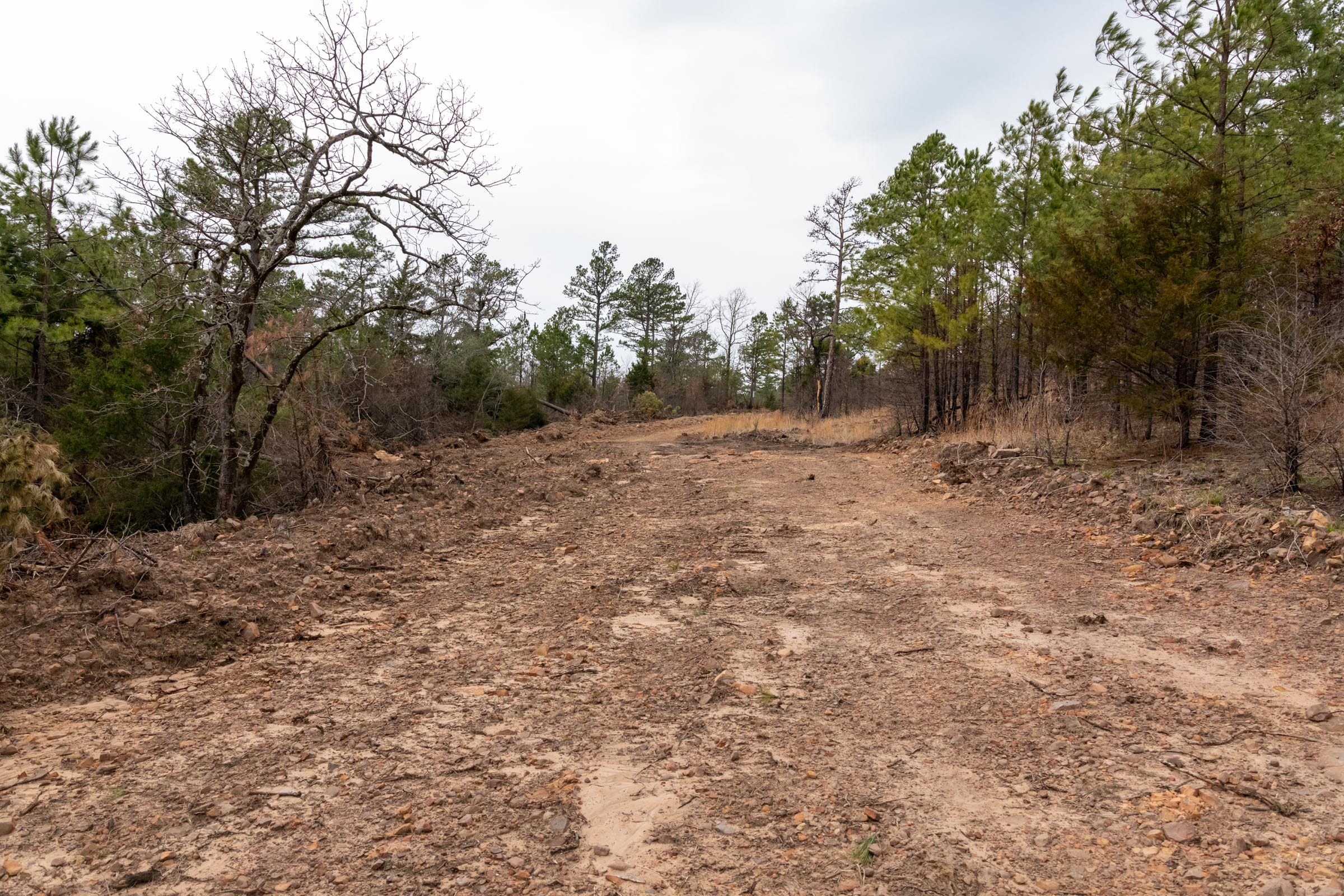 Stone Bridge Phase III Tract 202 photo 2