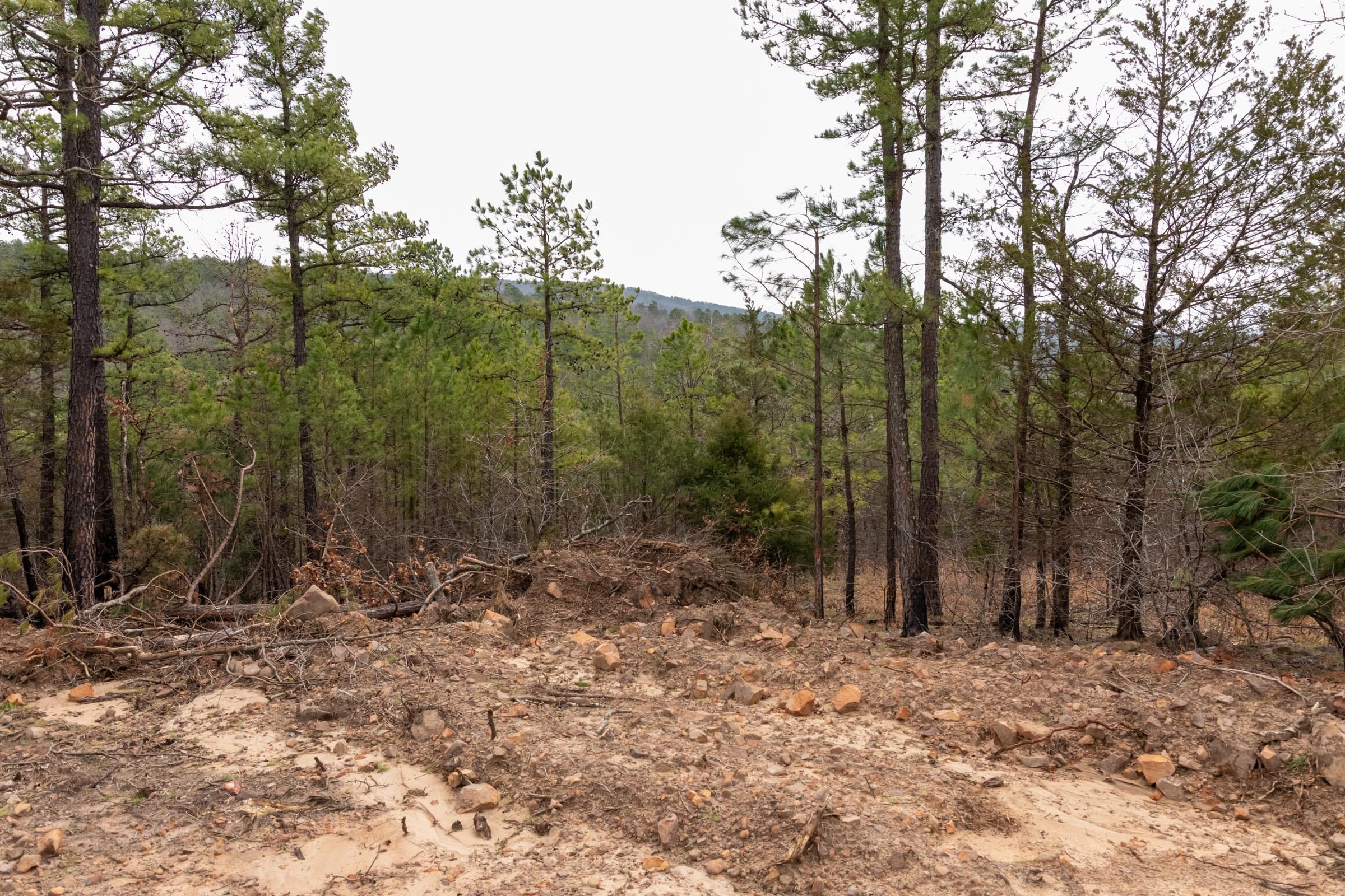 Stone Bridge Phase III Tract 202 photo 14