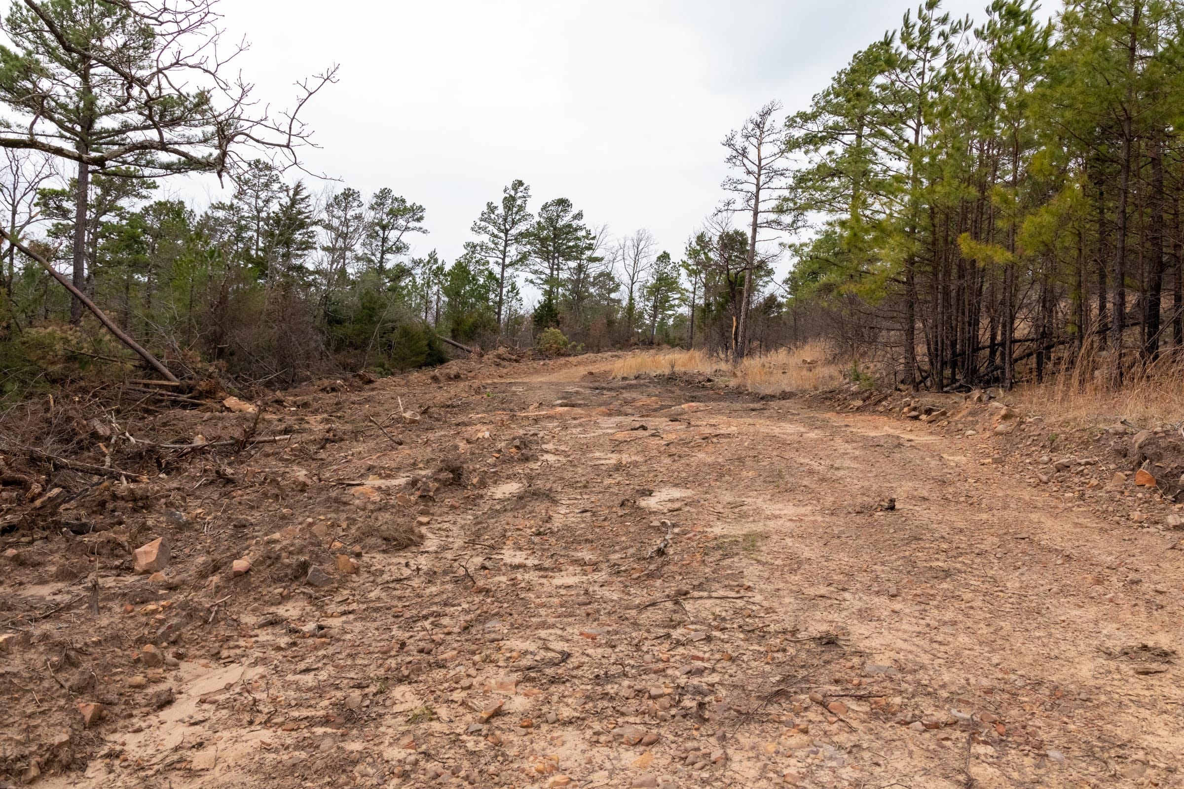 Stone Bridge Phase III Tract 202 photo 9