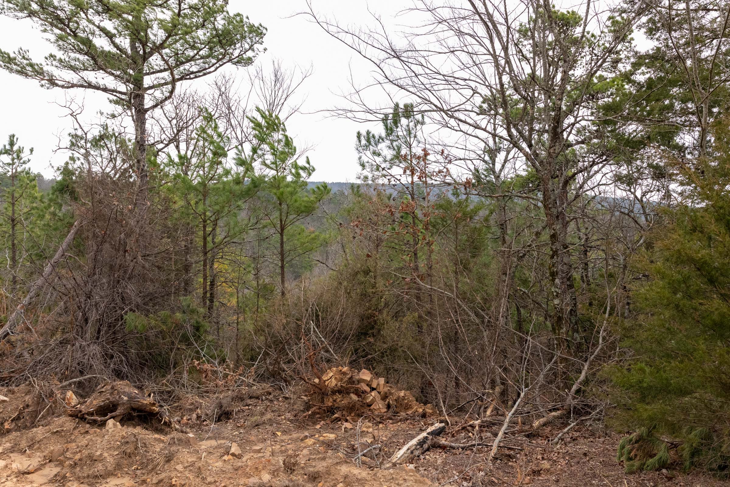 Stone Bridge Phase III Tract 202 photo 16