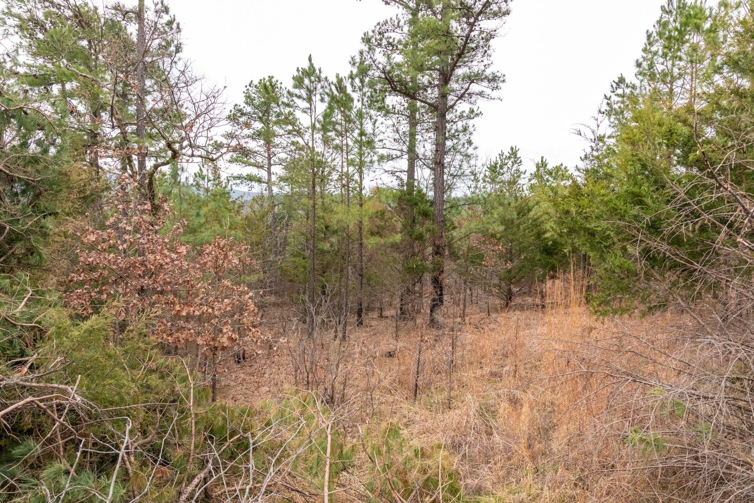 Stone Bridge Phase III Tract 202 photo 18