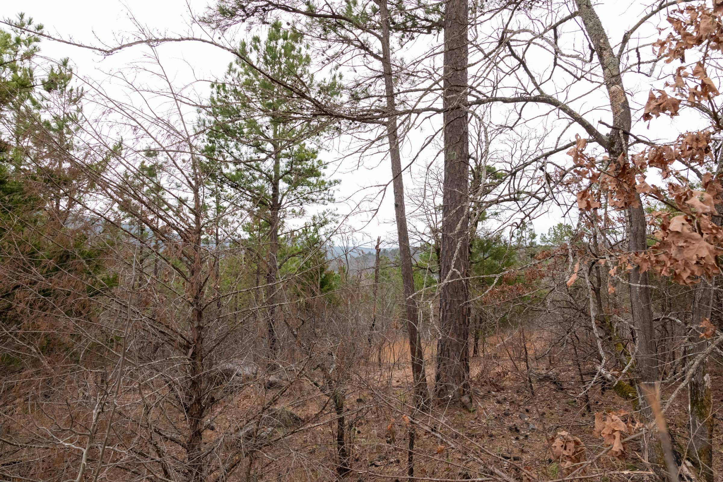 Stone Bridge Phase III Tract 202 photo 19