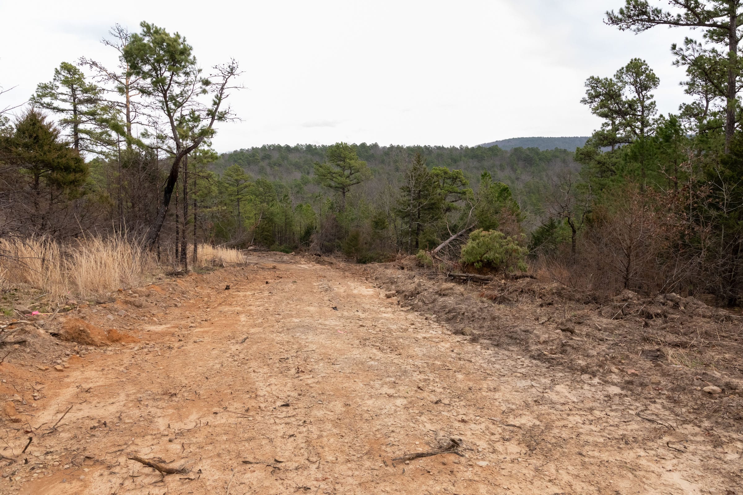 Stone Bridge Phase III Tract 202 photo 17