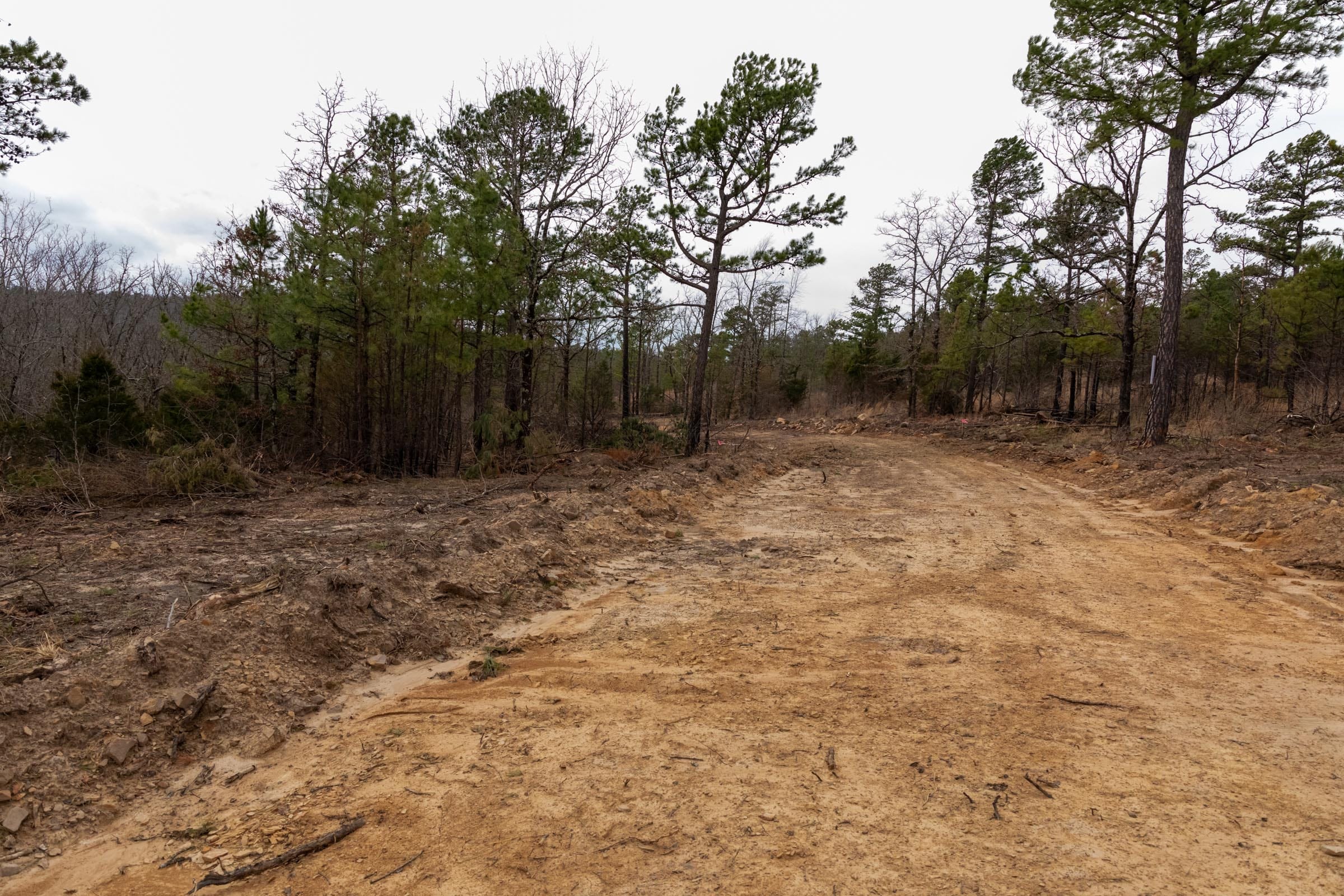 Stone Bridge Phase III Tract 202 photo 25
