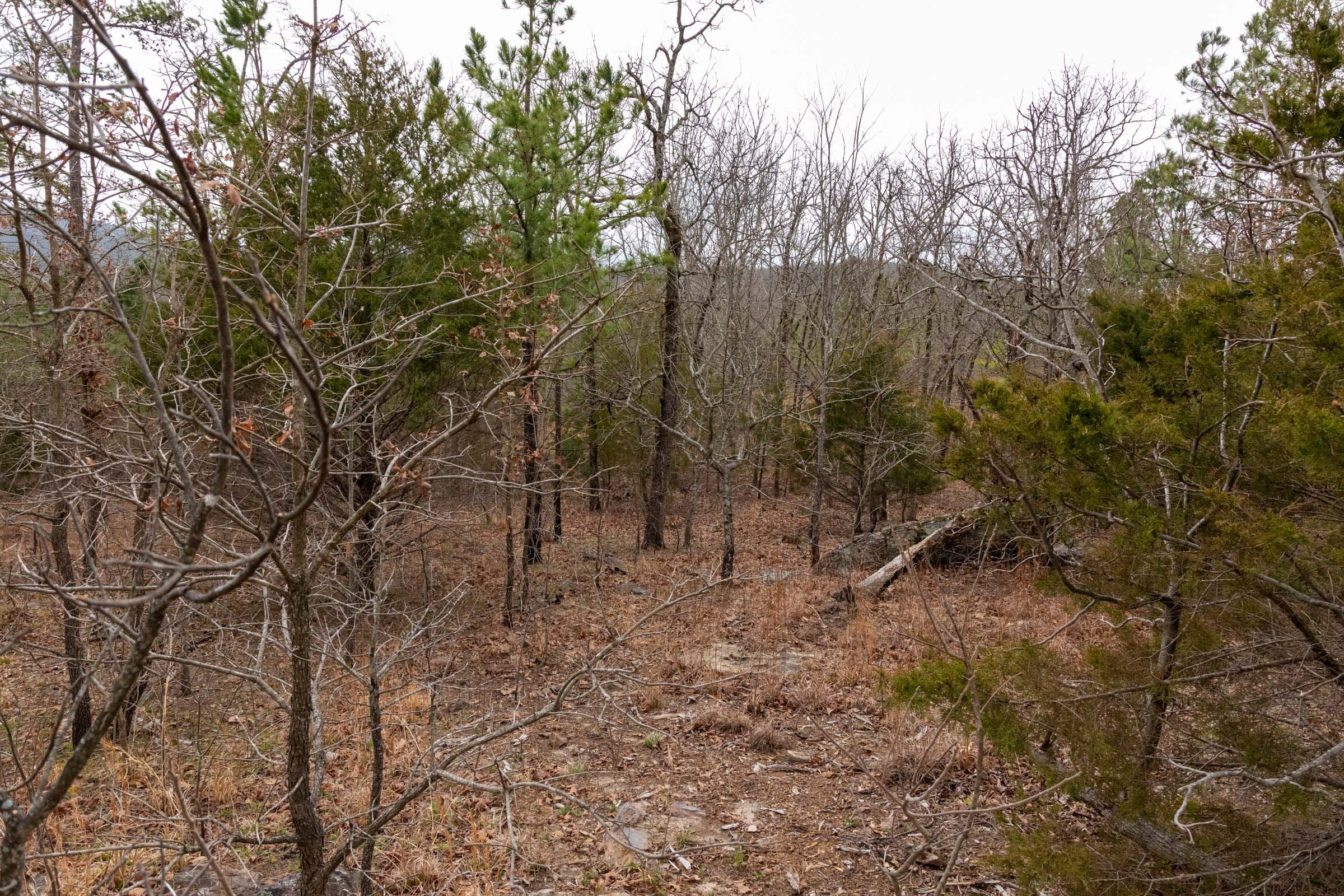 Stone Bridge Phase III Tract 202 photo 21