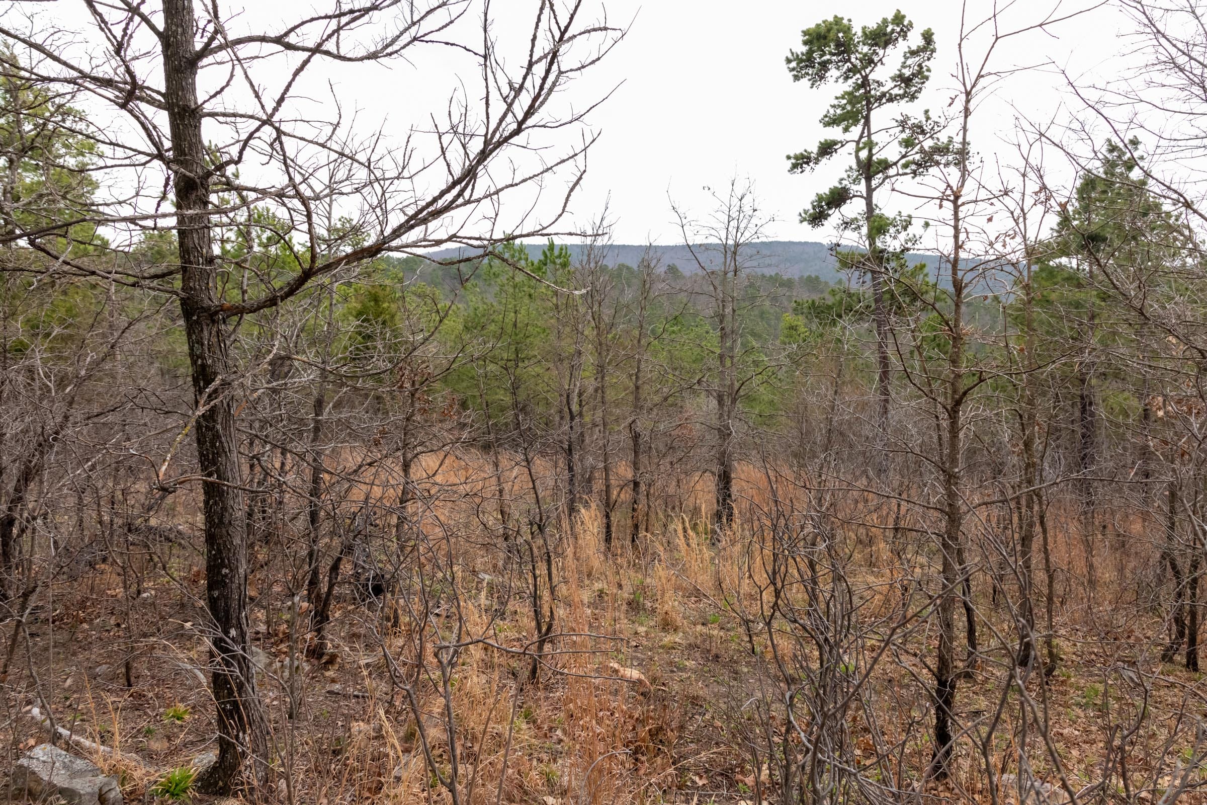 Stone Bridge Phase III Tract 202 photo 22