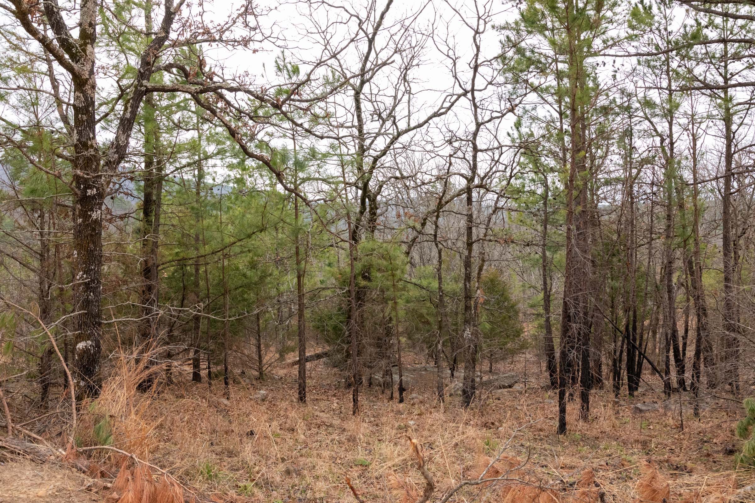 Stone Bridge Phase III Tract 202 photo 23