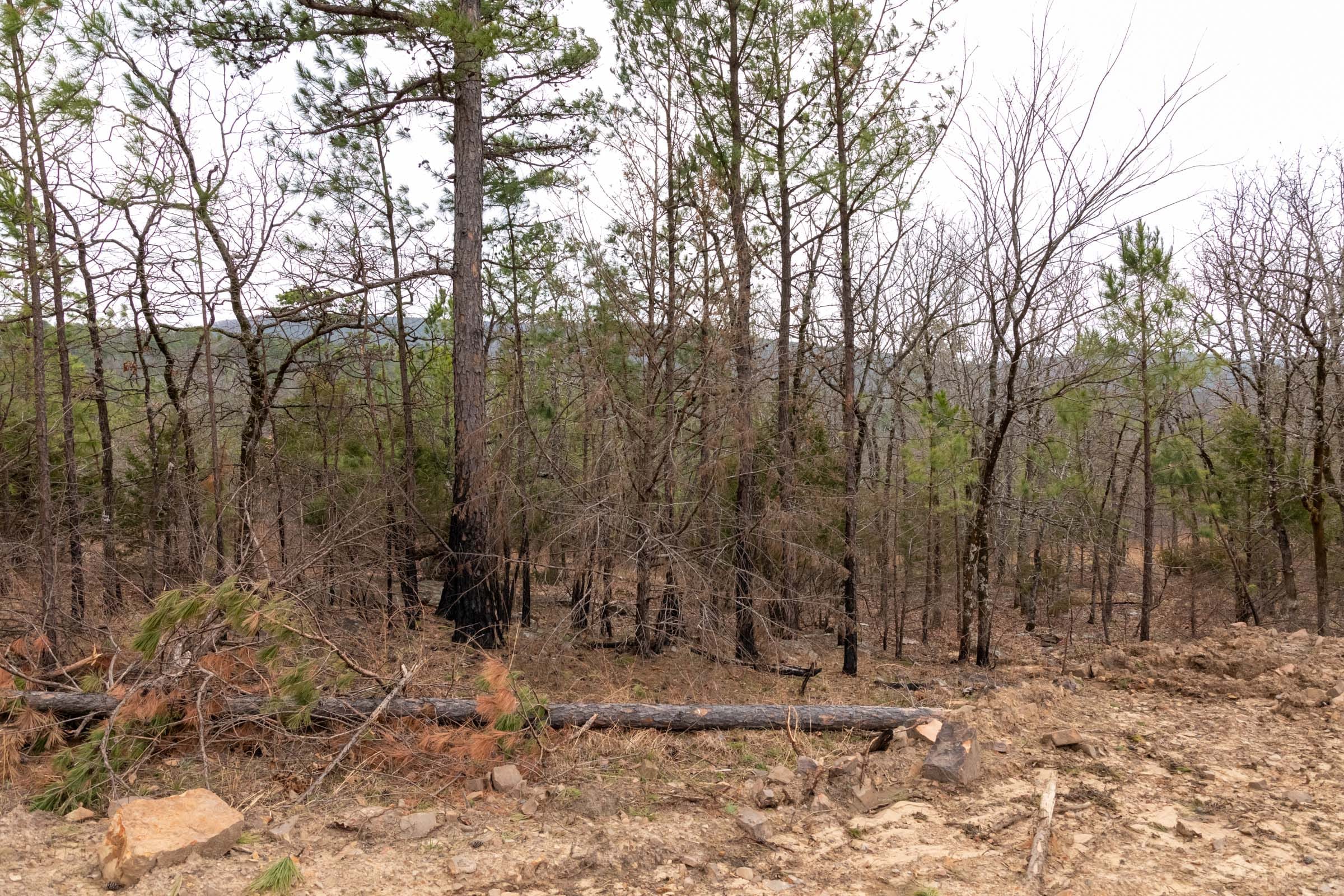 Stone Bridge Phase III Tract 202 photo 24