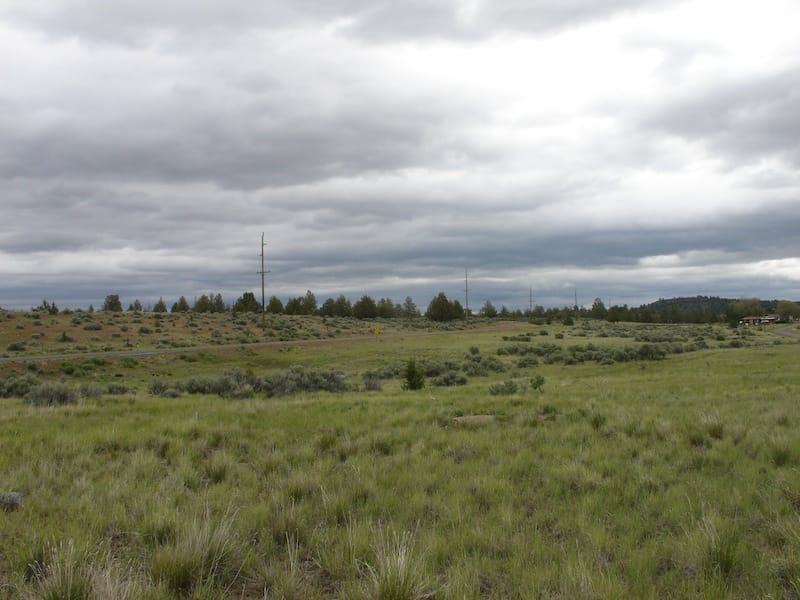 California Pines Tract 95 photo 1