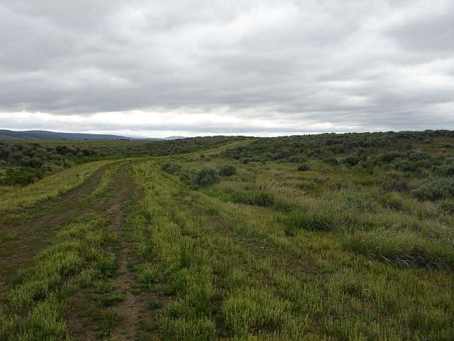 California Pines Tract 95 photo 5