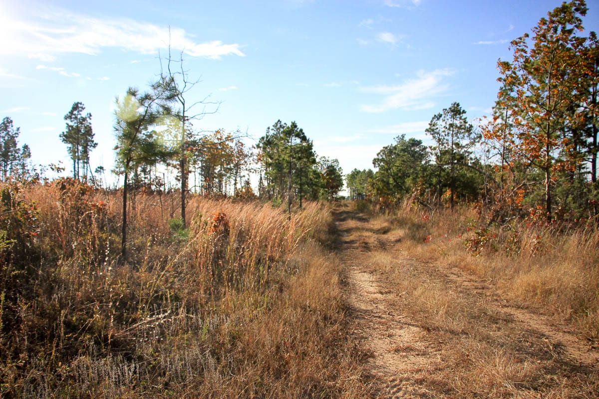 Stone Creek Phase III Tract 37 photo 2