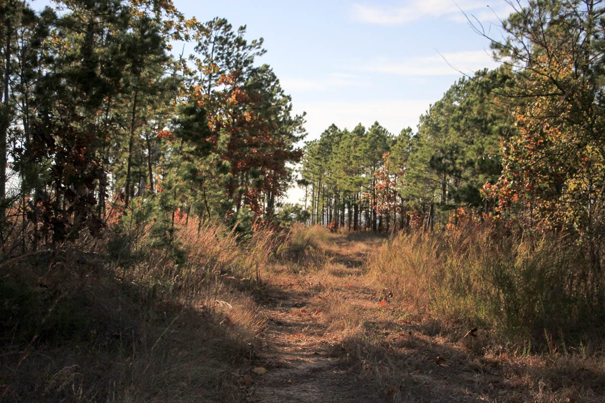 Stone Creek Phase III Tract 37 photo 5