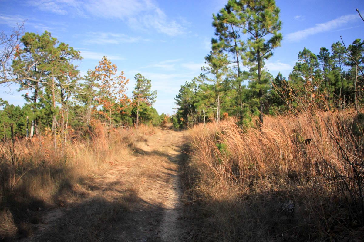 Stone Creek Phase III Tract 37 photo 6