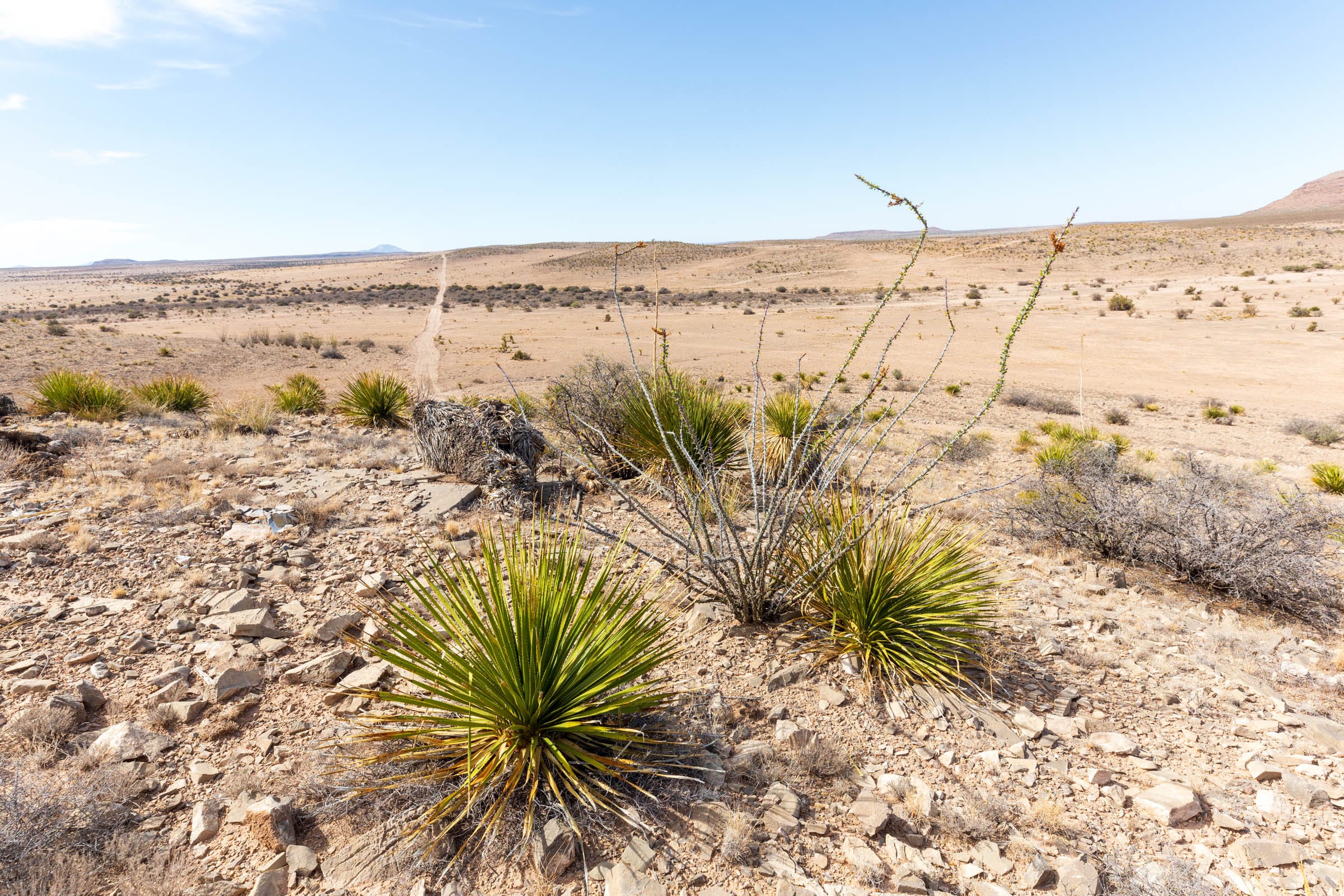 Sunrise Ranches Phase III Tract 96 photo 13