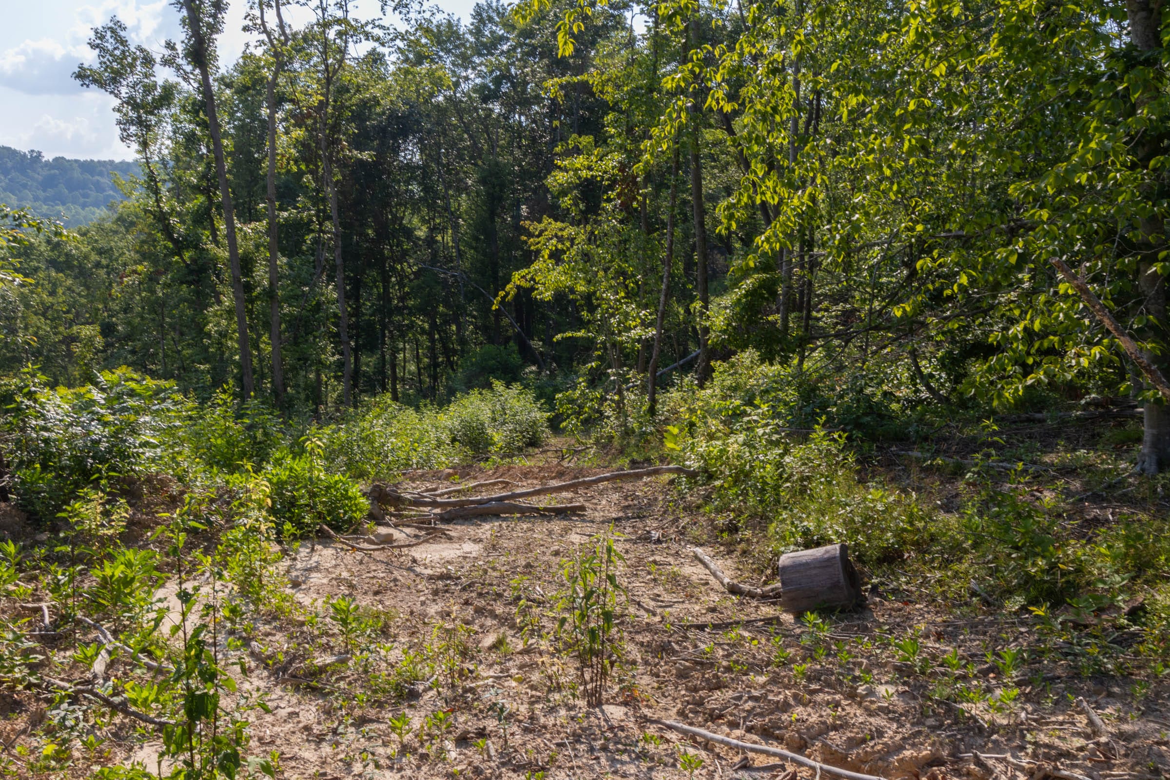 Creek Hollow Phase II Tract 84 photo 9
