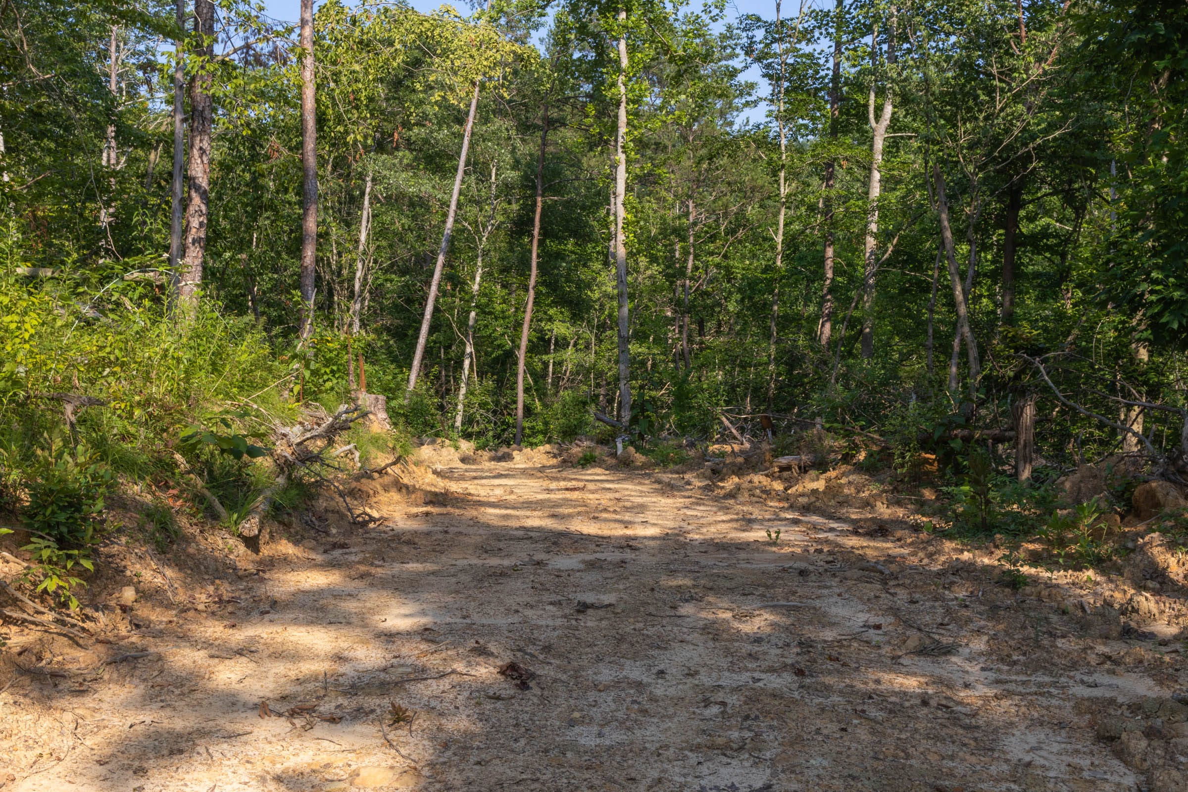 Creek Hollow Phase II Tract 84 photo 1