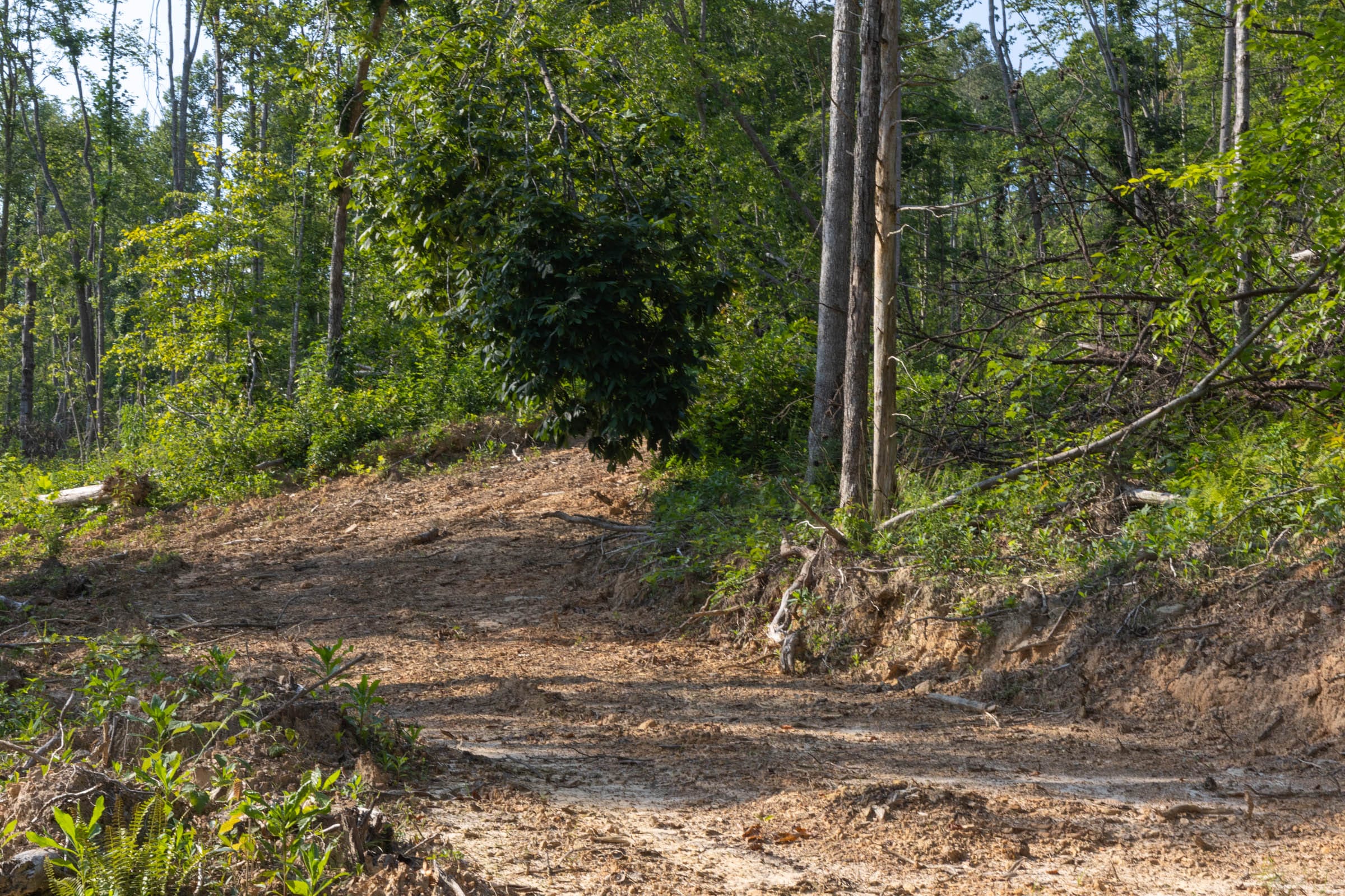 Creek Hollow Phase II Tract 84 photo 2