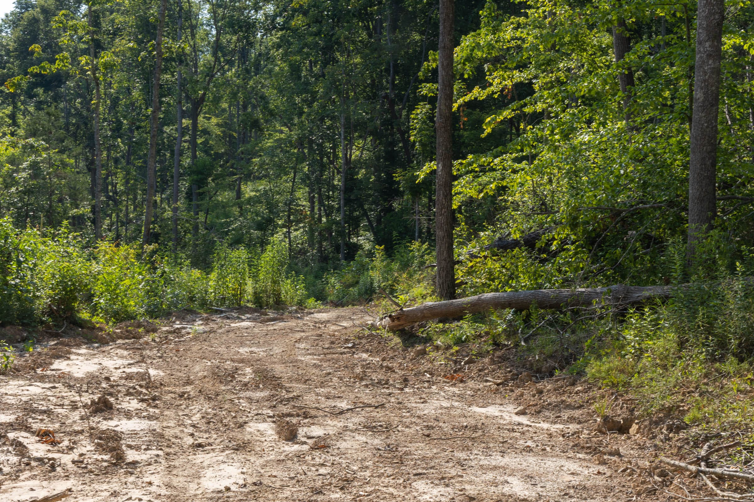 Creek Hollow Phase II Tract 84 photo 7