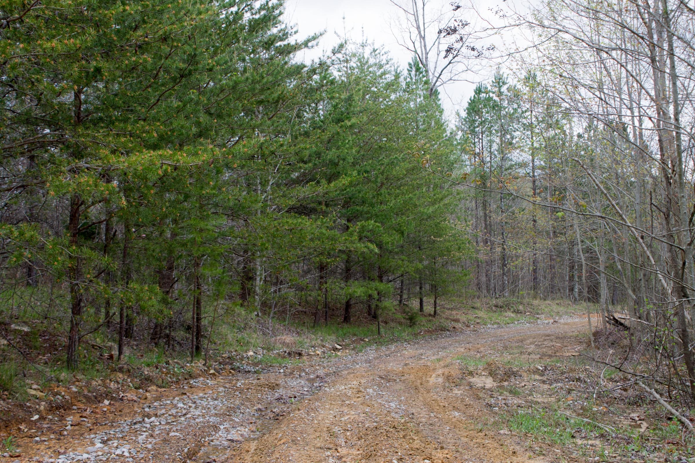 Hidden Hills Tract 35 photo 1