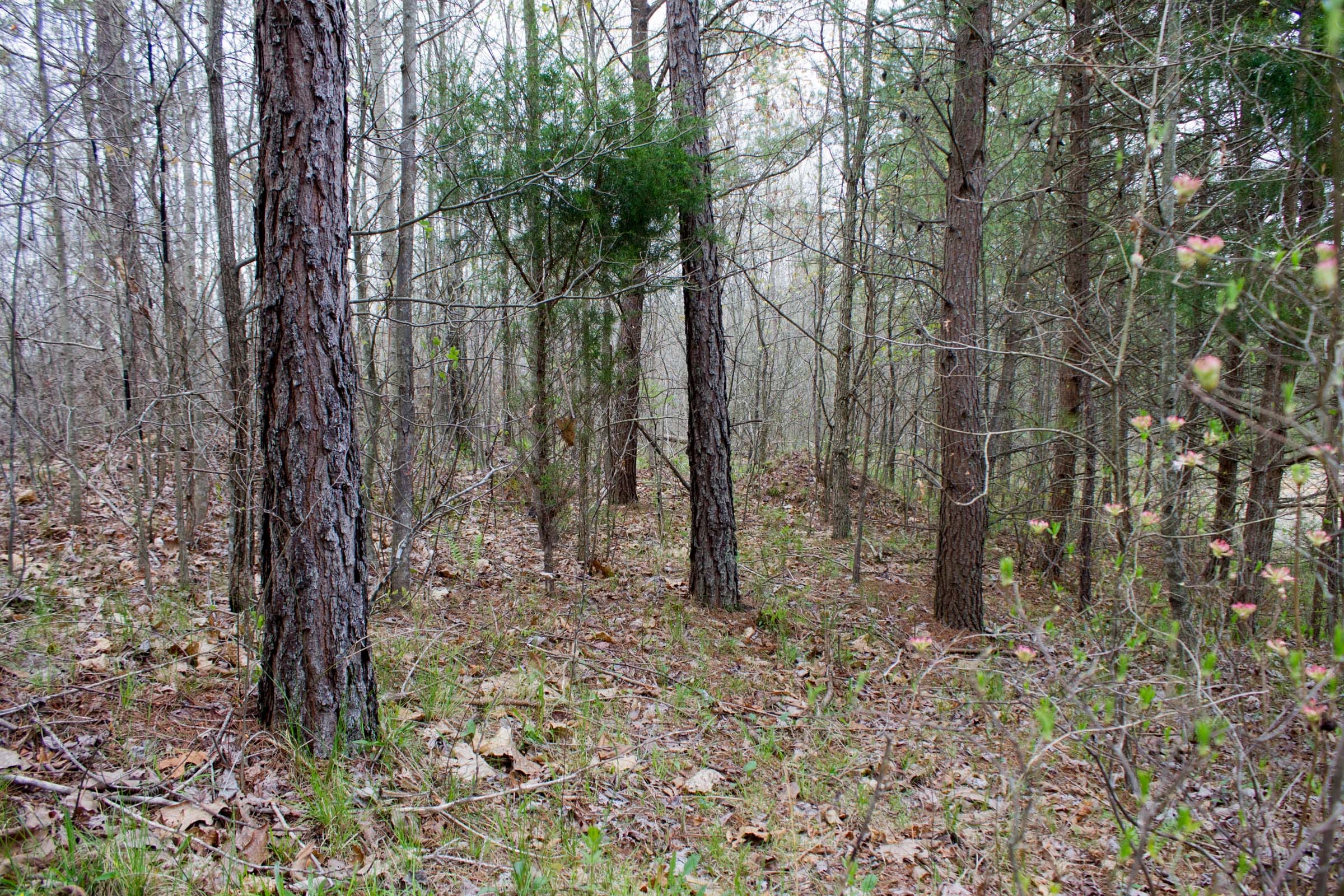 Hidden Hills Tract 35 photo 3