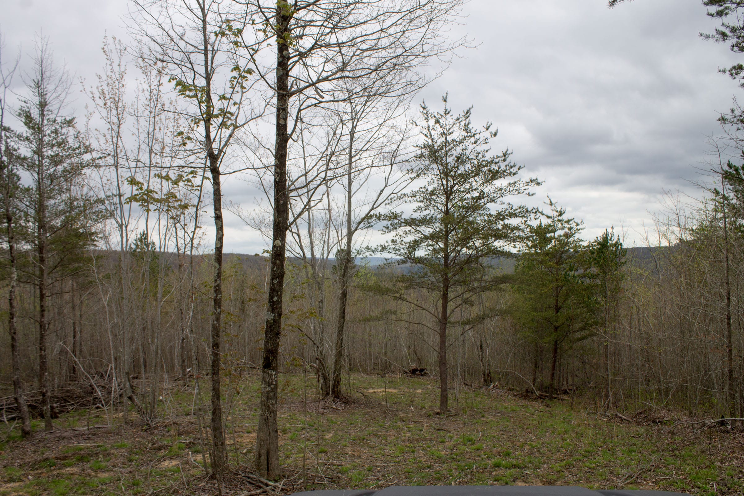 Hidden Hills Tract 35 photo 4