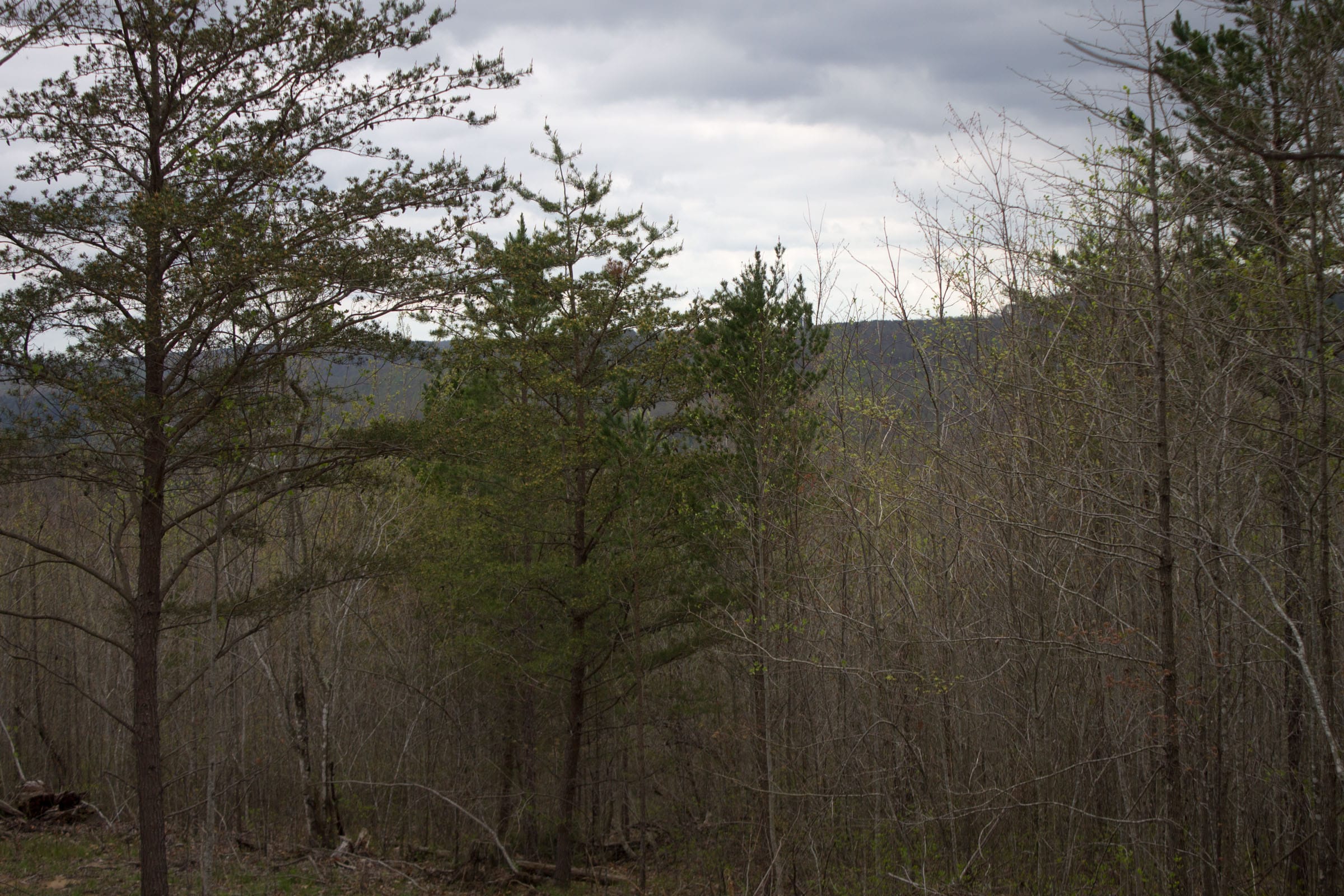 Hidden Hills Tract 35 photo 5