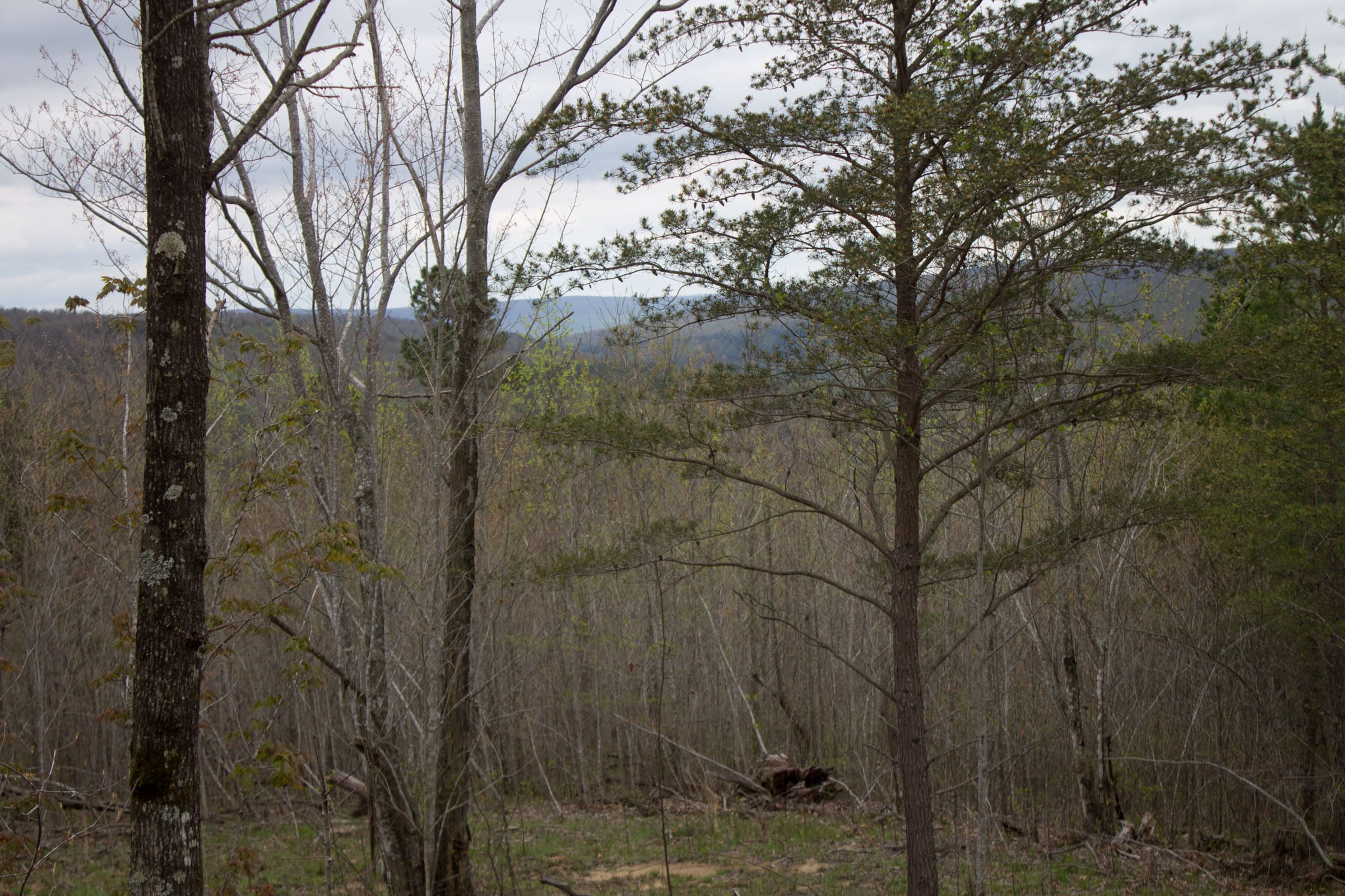 Hidden Hills Tract 35 photo 6