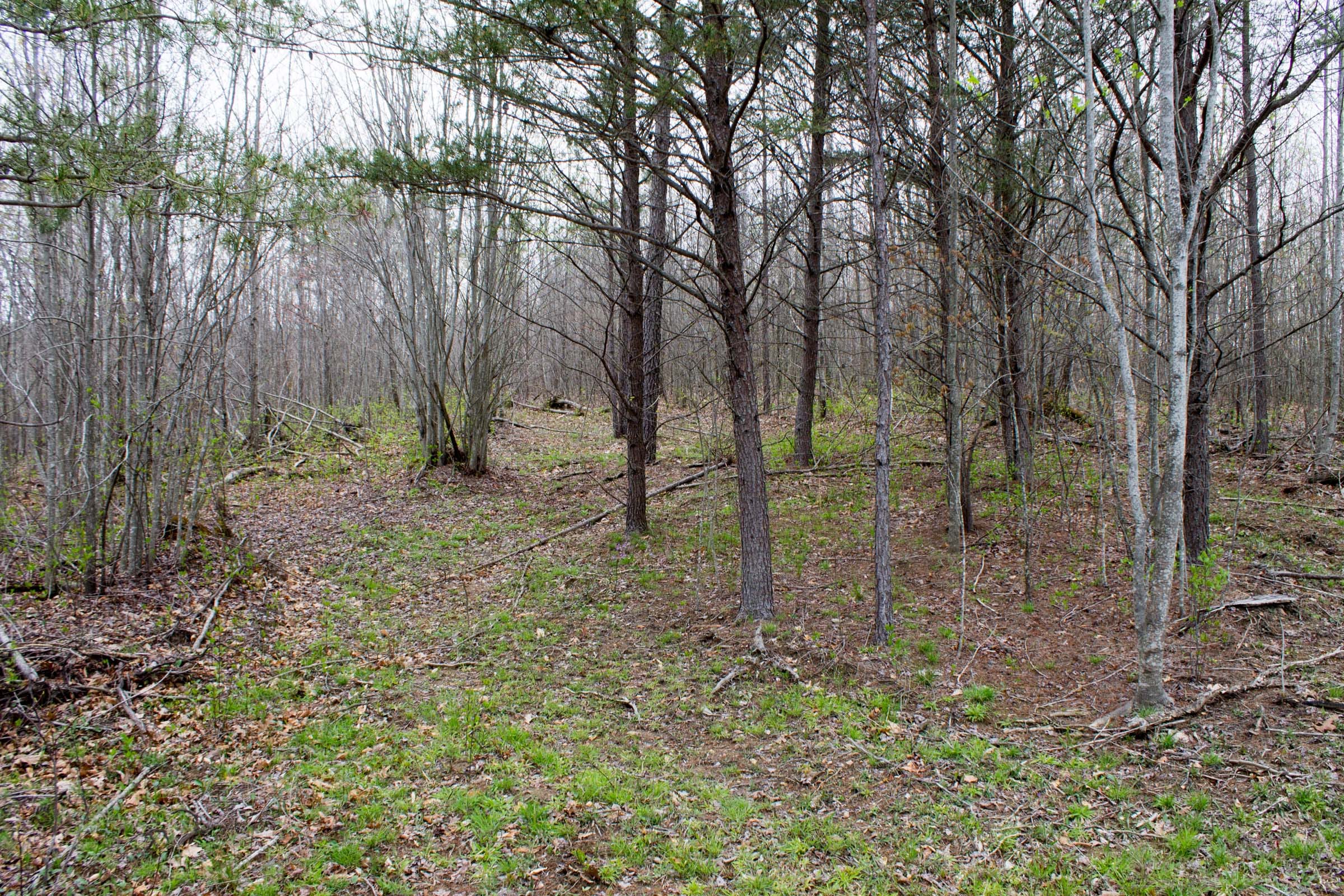 Hidden Hills Tract 35 photo 7