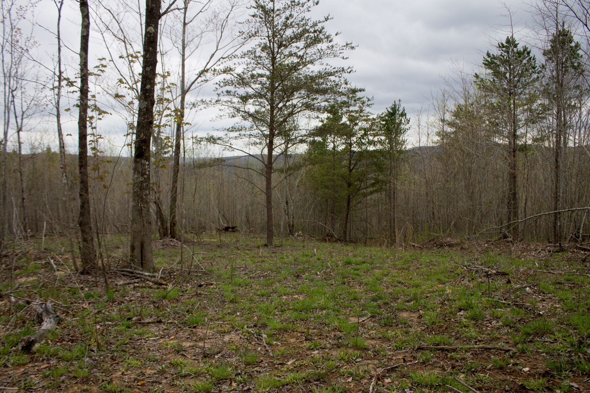 Hidden Hills Tract 35 photo 8