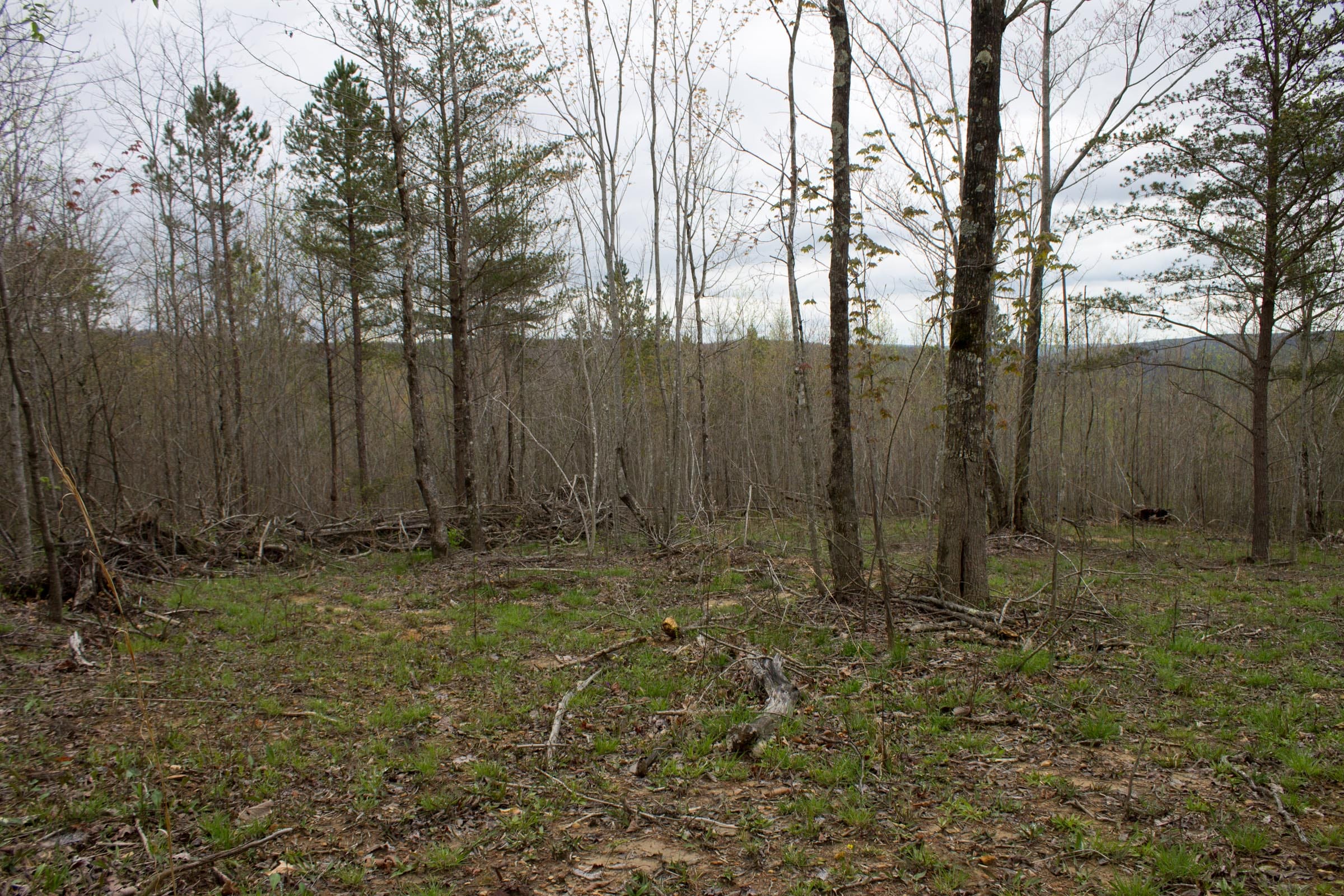Hidden Hills Tract 35 photo 9