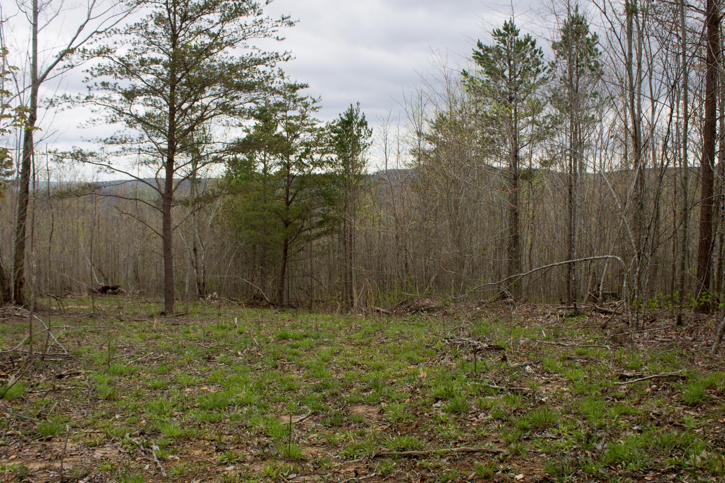 Hidden Hills Tract 35 photo 10