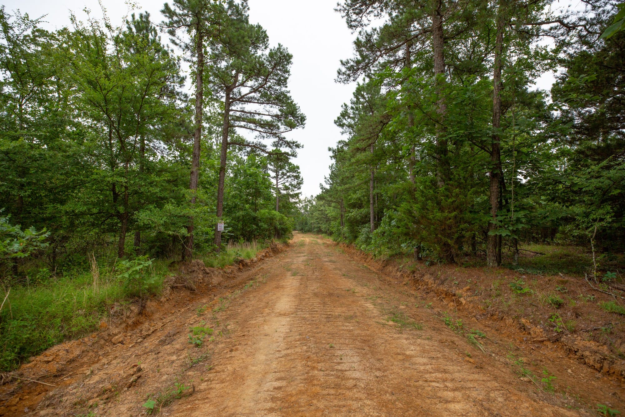 Eagle’s Nest Tract 65 photo 1