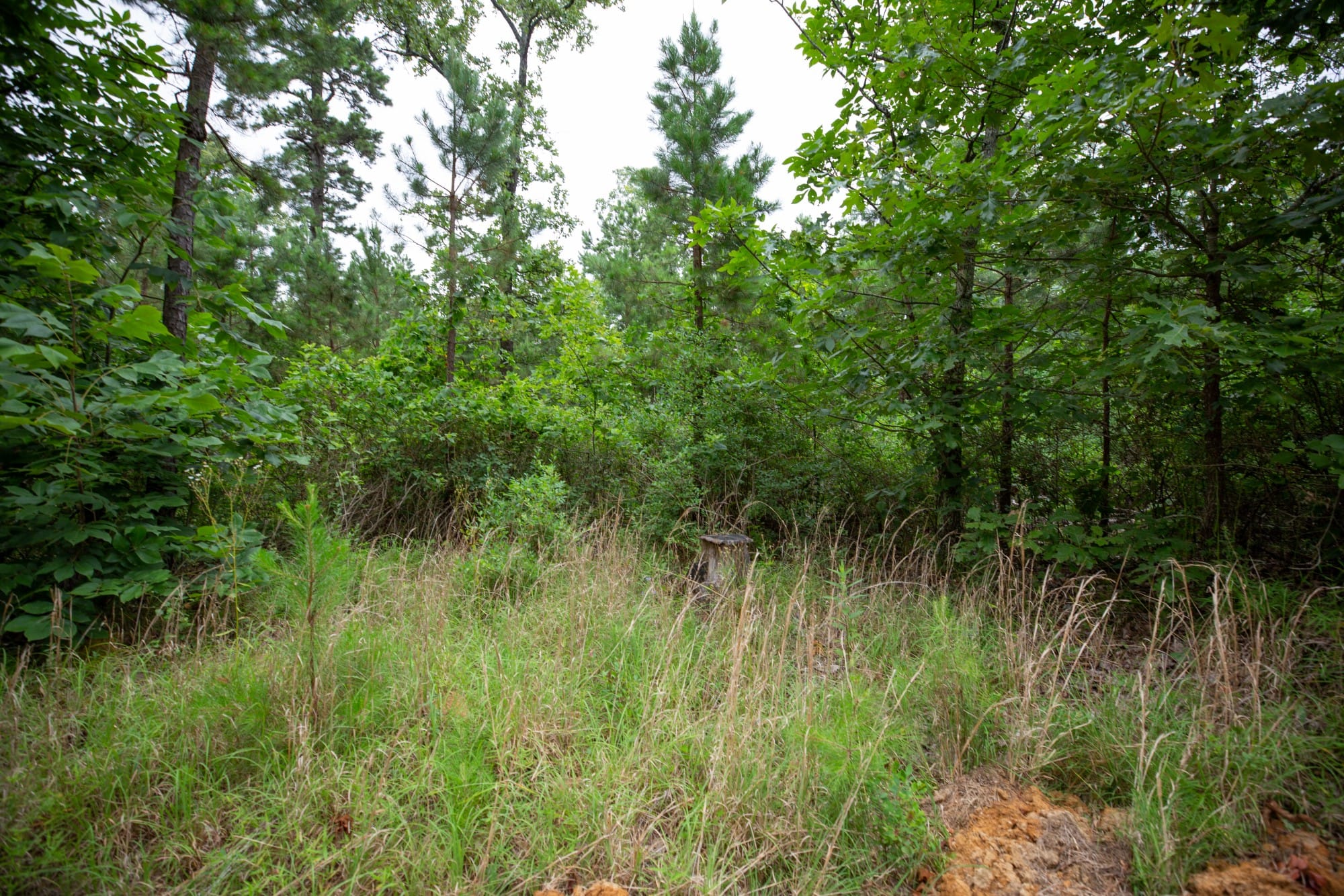 Eagle’s Nest Tract 65 photo 3