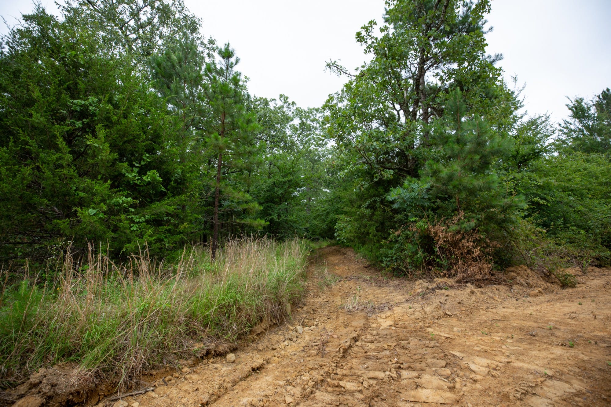 Eagle’s Nest Tract 65 photo 6