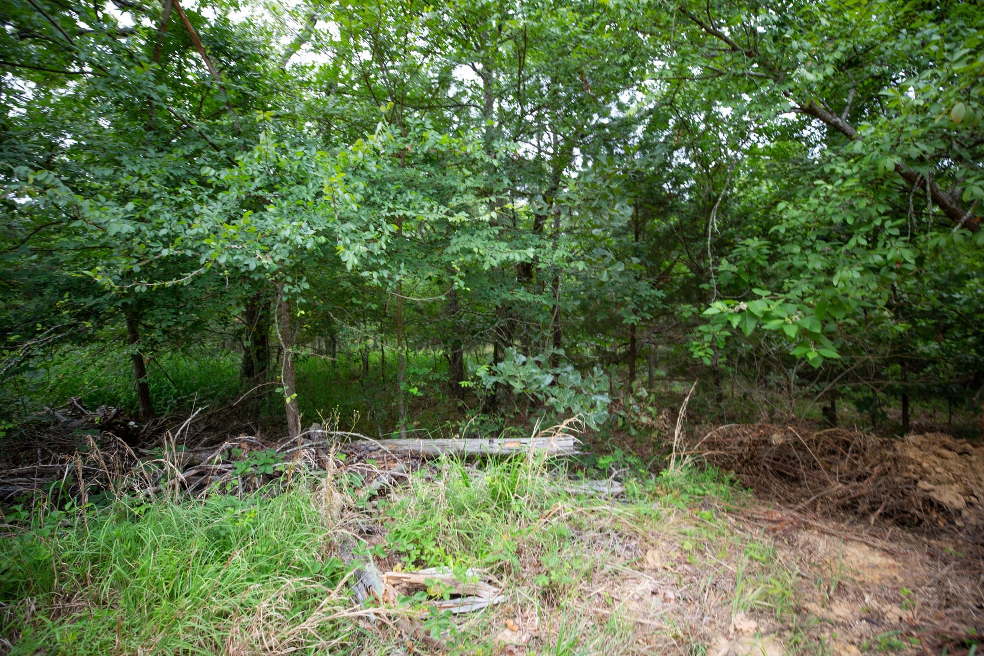 Eagle’s Nest Tract 65 photo 7