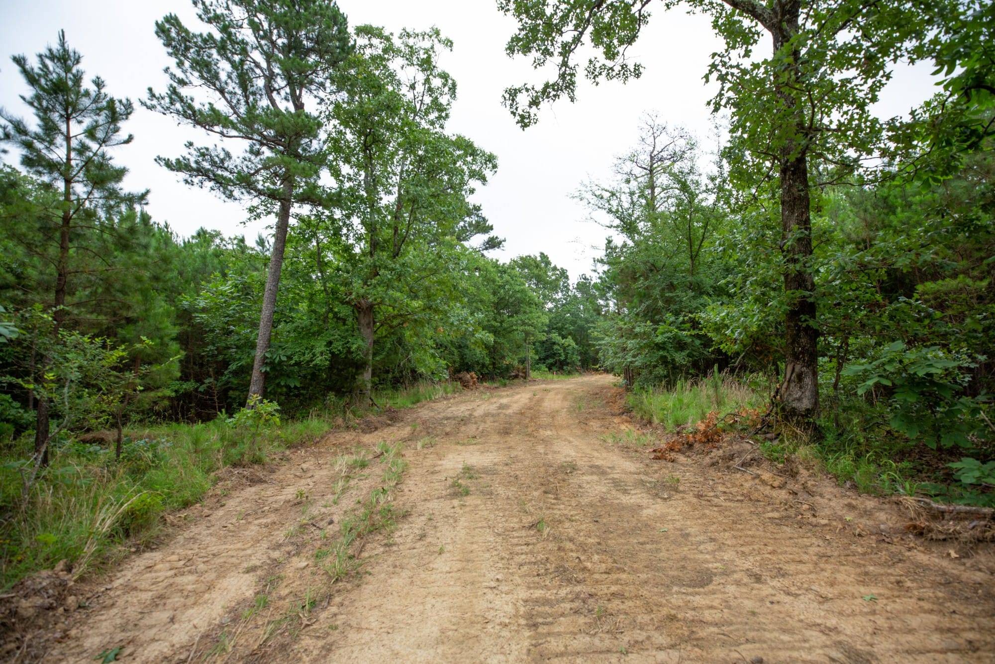 Eagle’s Nest Tract 65 photo 8