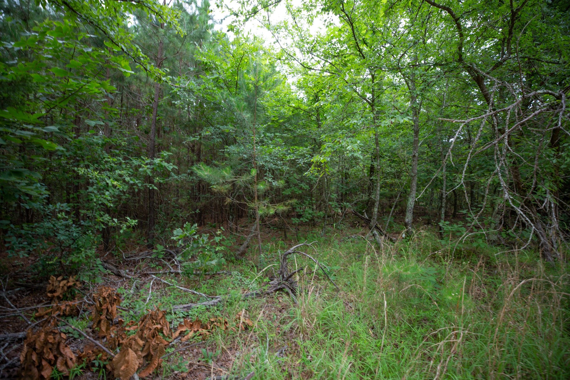 Eagle’s Nest Tract 65 photo 10