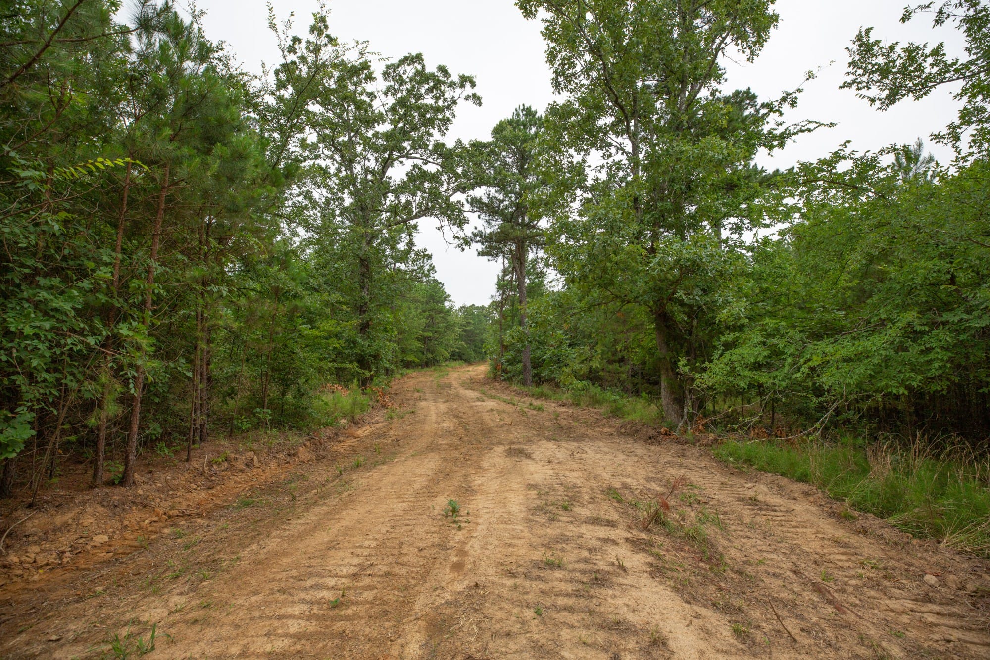 Eagle’s Nest Tract 65 photo 11