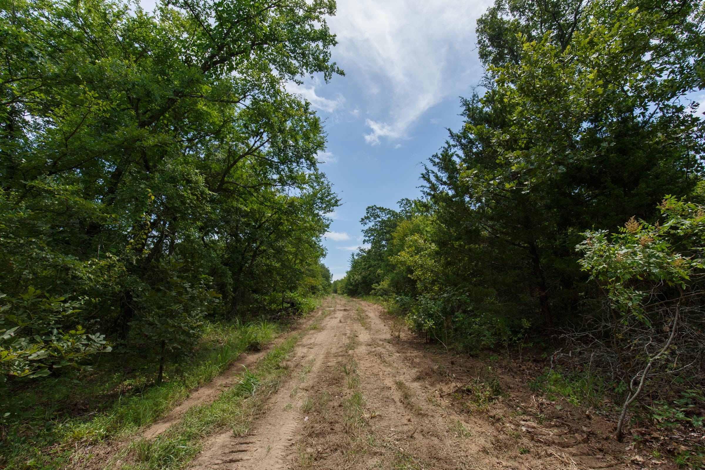 Timber Ridge Tract 33 photo 1