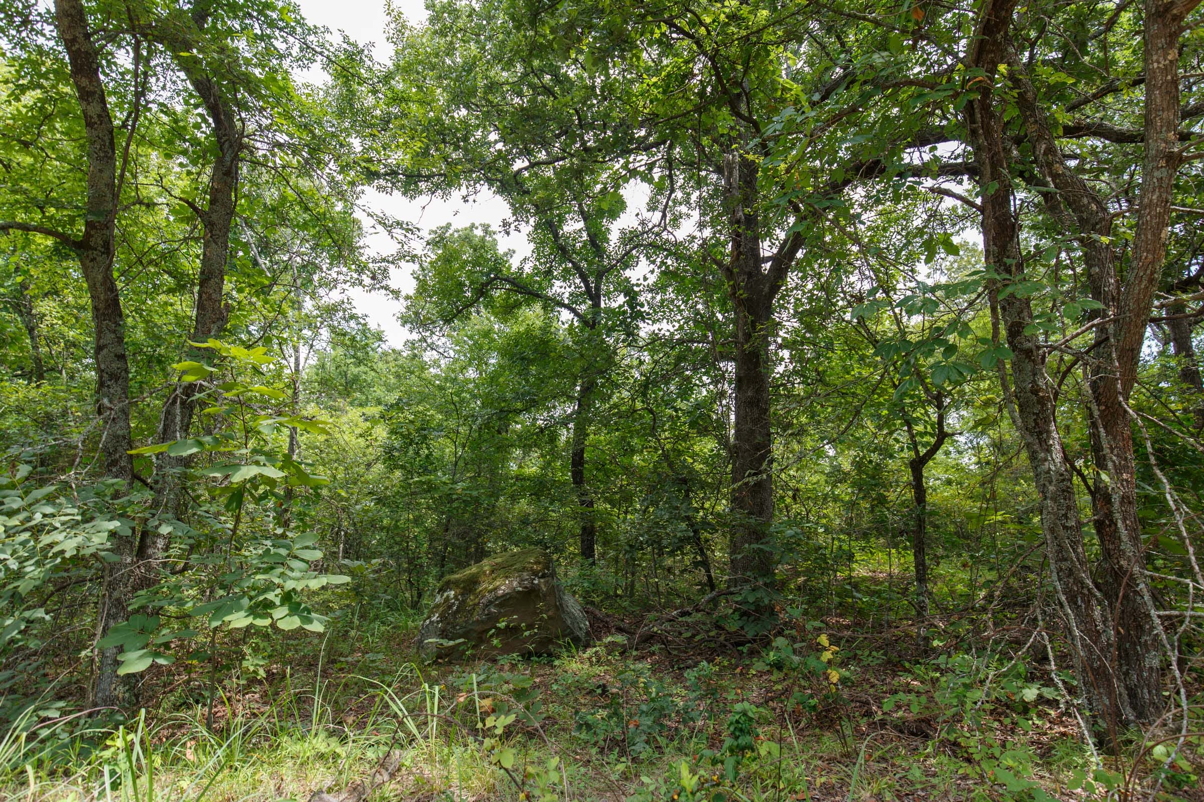 Timber Ridge Tract 33 photo 2