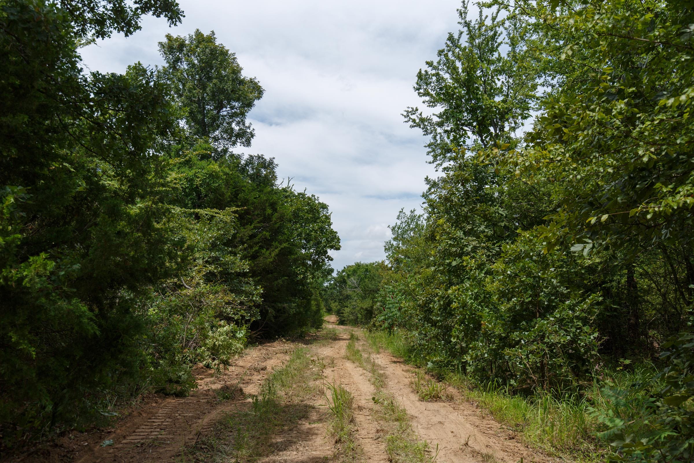 Timber Ridge Tract 33 photo 5