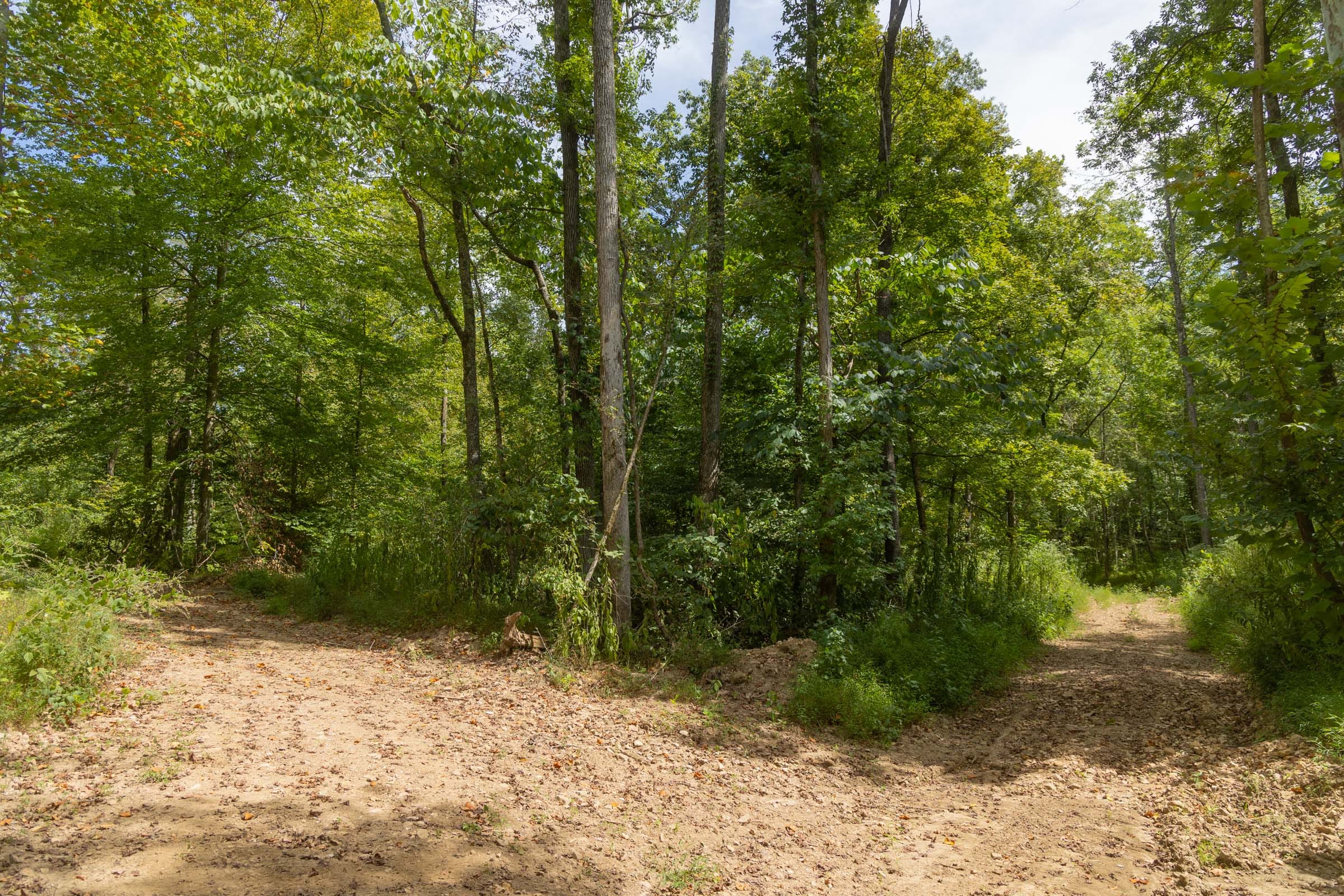 Big White Oak Tract 136 photo 13
