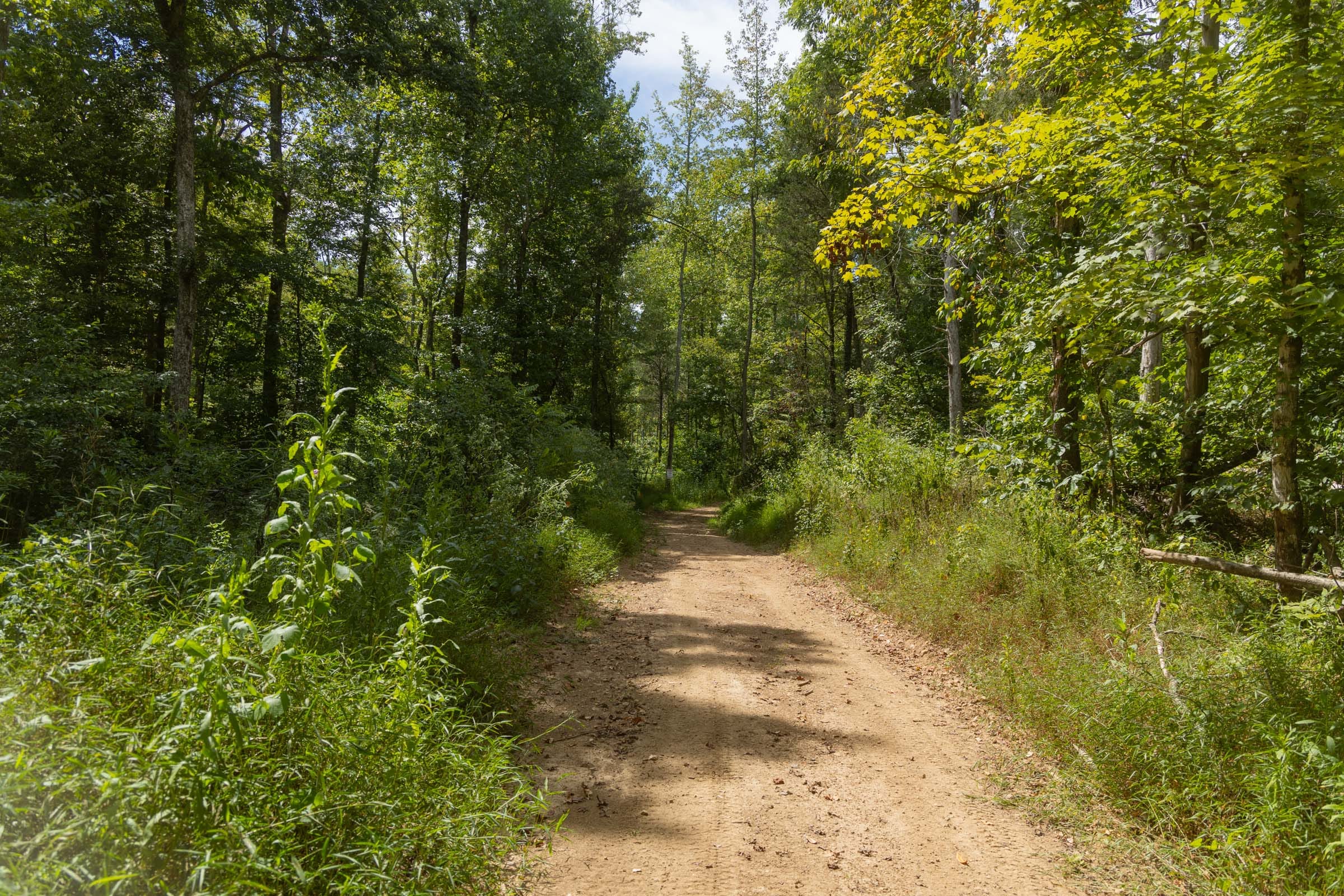 Big White Oak Tract 136 photo 8