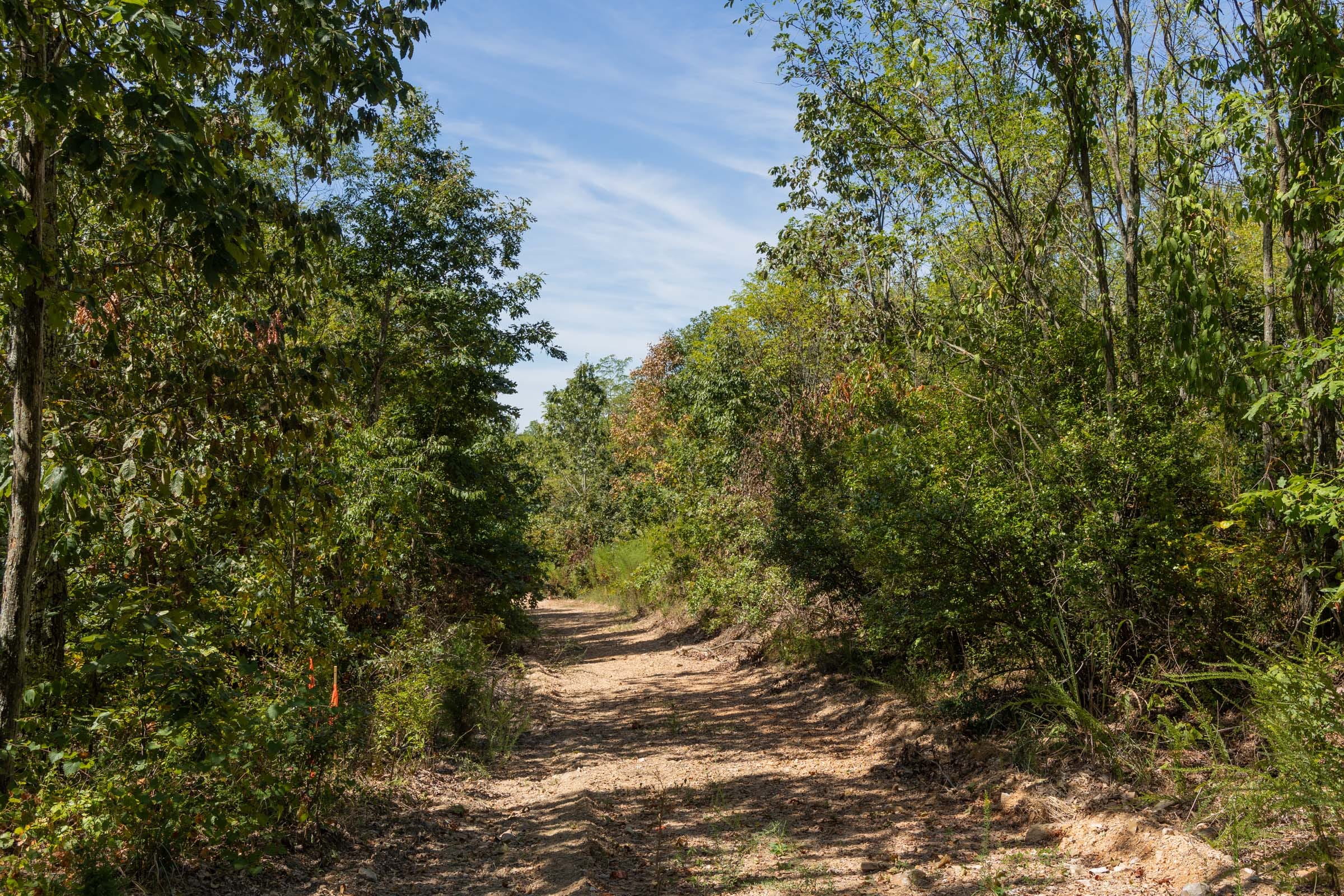 Big White Oak Tract 136 photo 2