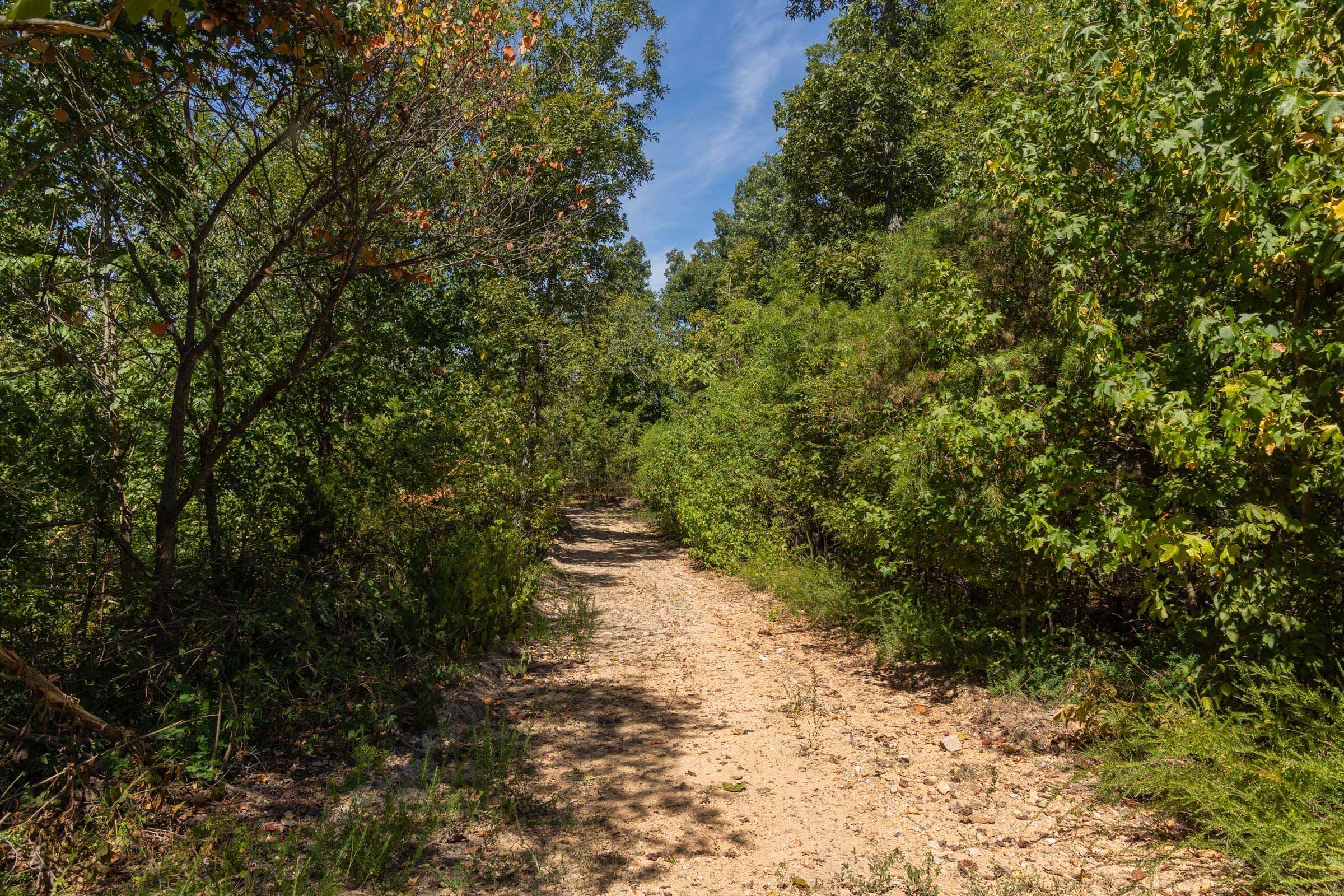 Big White Oak Tract 136 photo 1