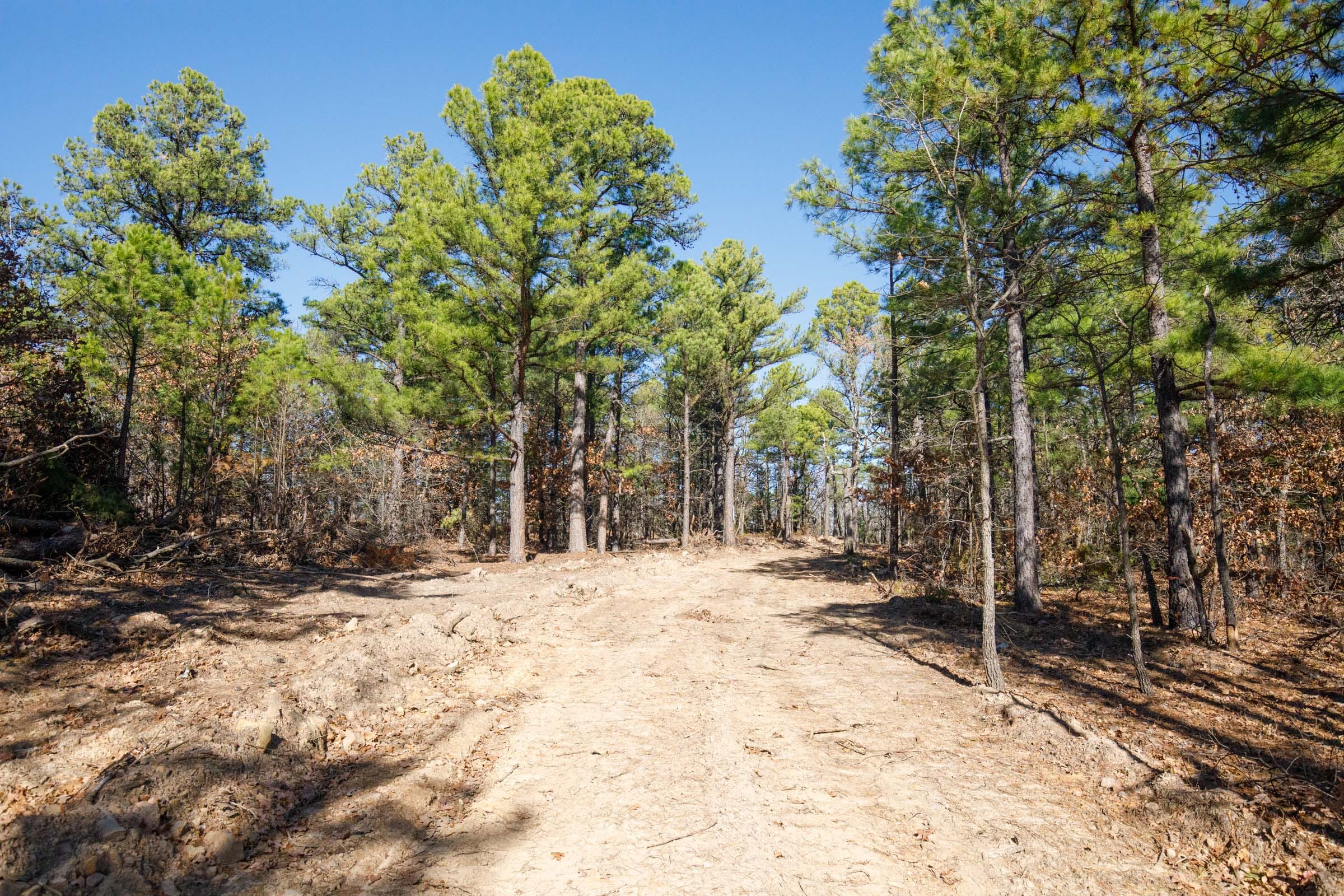 Stone Bridge Phase II Tract 101 photo 1