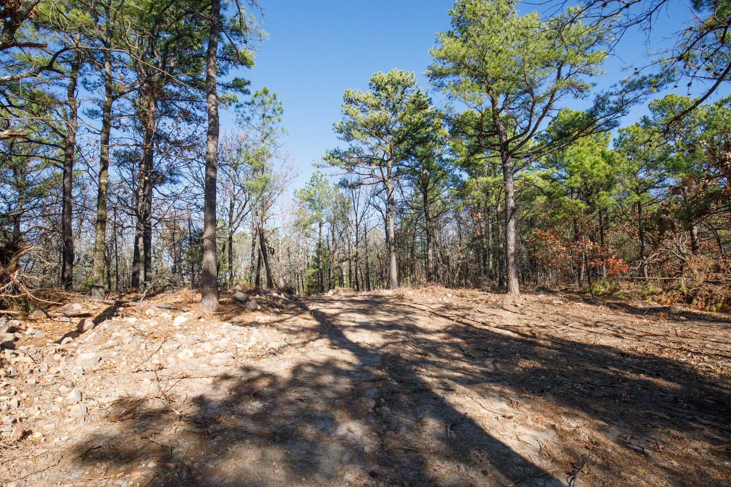 Stone Bridge Phase II Tract 101 photo 5