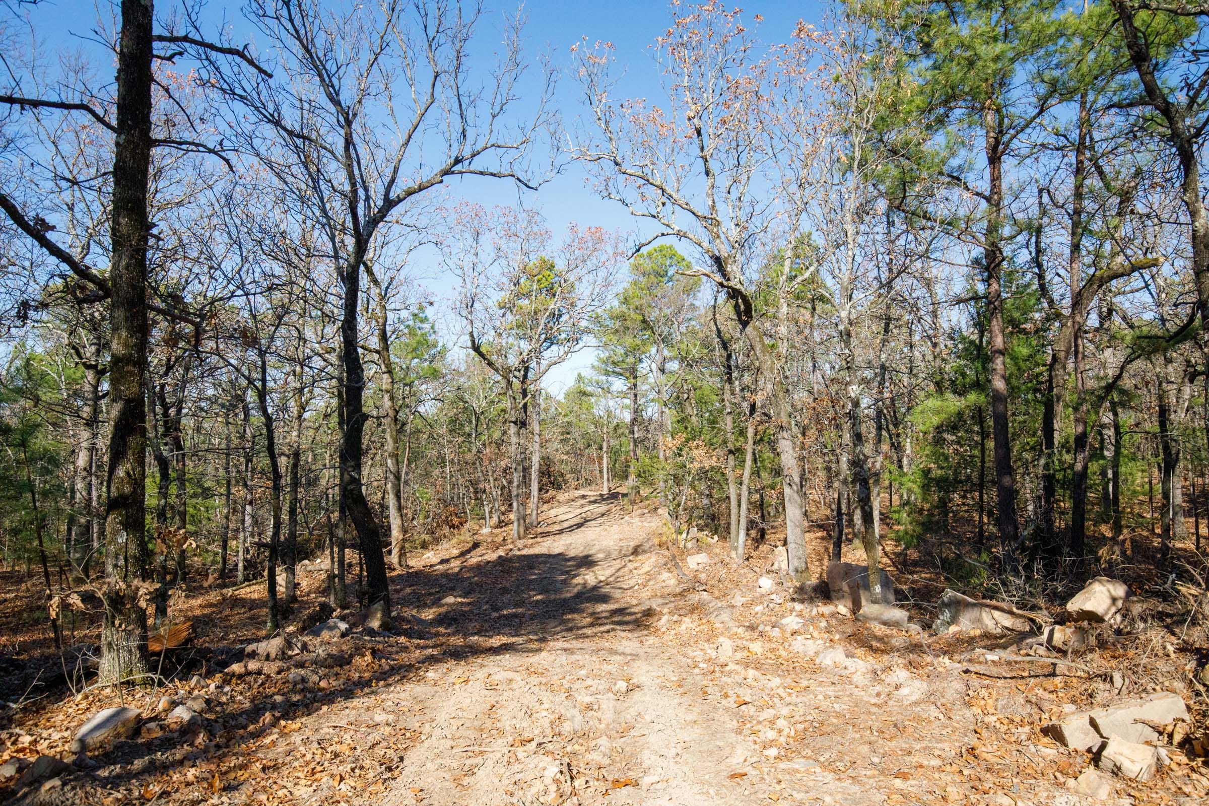 Stone Bridge Phase II Tract 101 photo 9