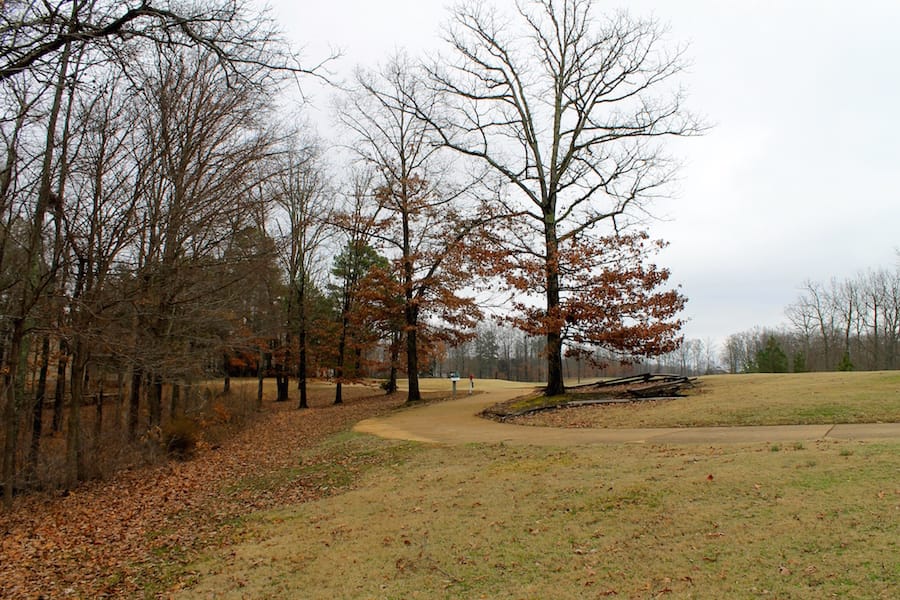 The Tennessean Tract 15 photo 2