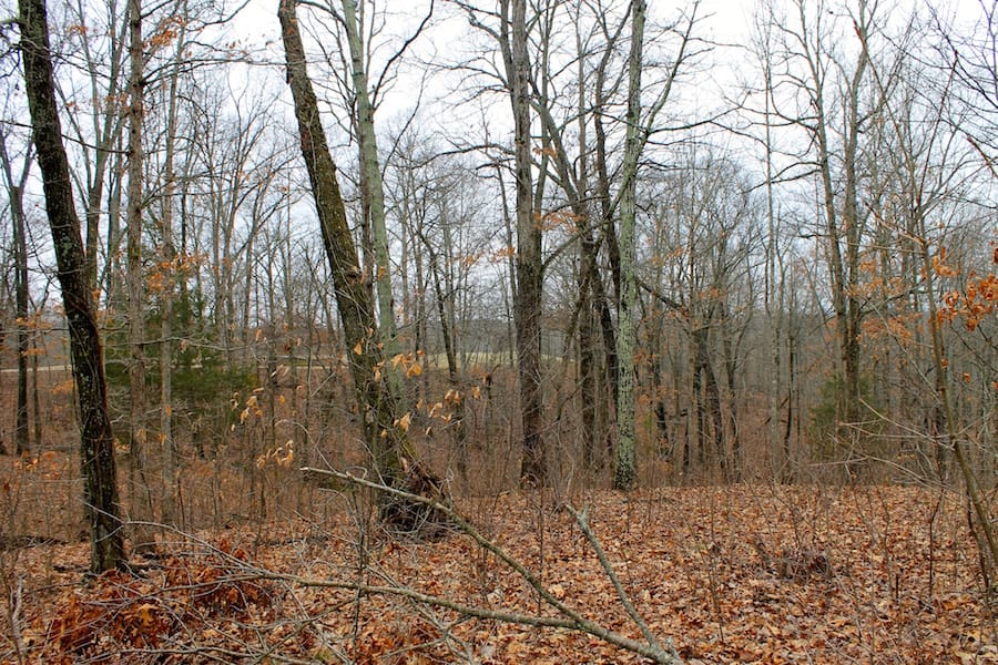 The Tennessean Tract 15 photo 7